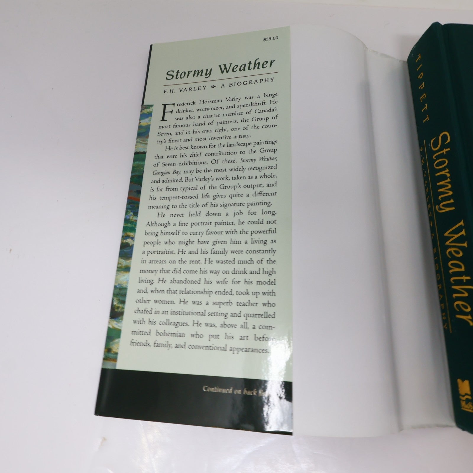 Stormy Weather F.H. Varley a Biography Maria Tippett Mcclelland & Stewart 1998