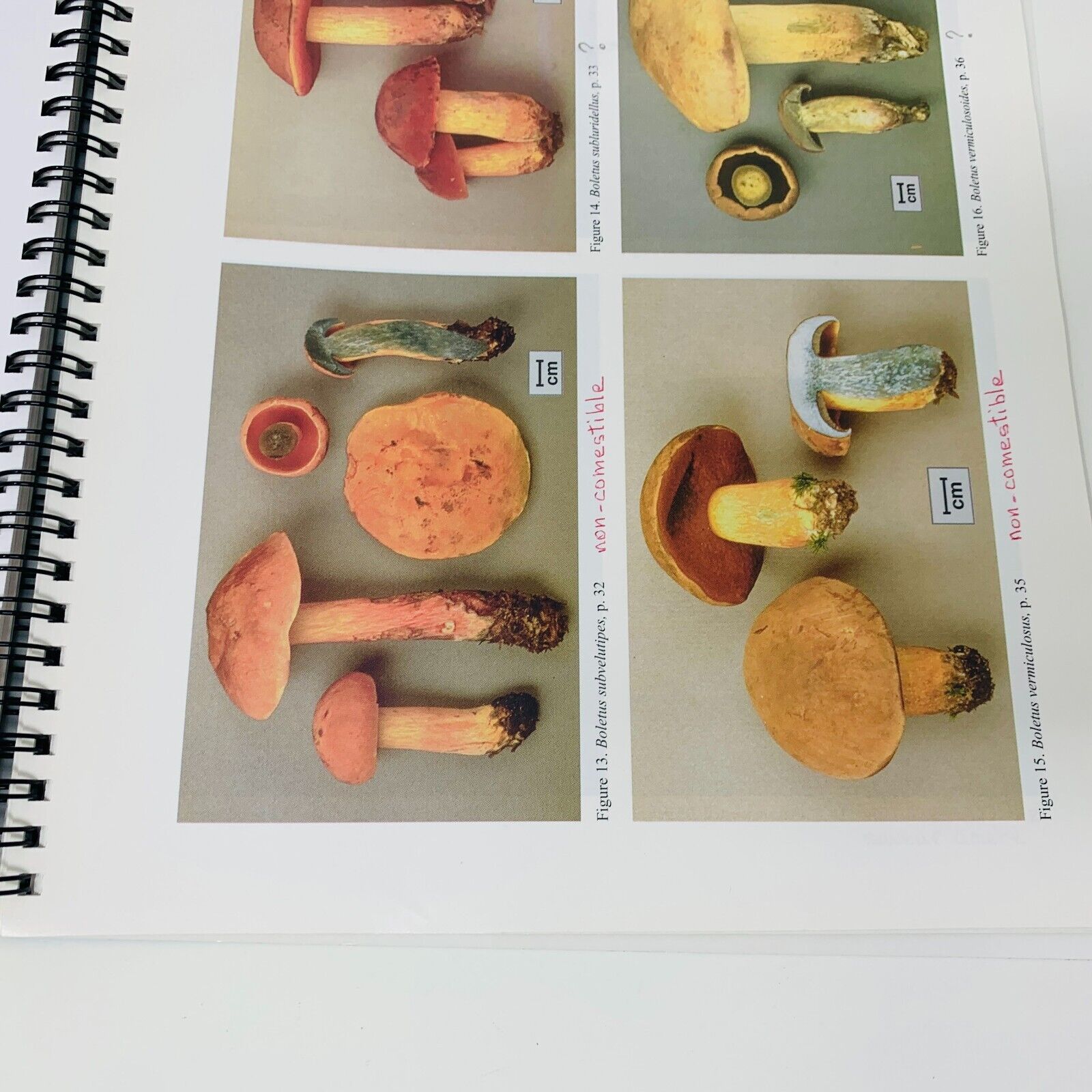 1997 Champignons du Québec Tome 1 Les Bolets Cercle des Mycologues de Montréal