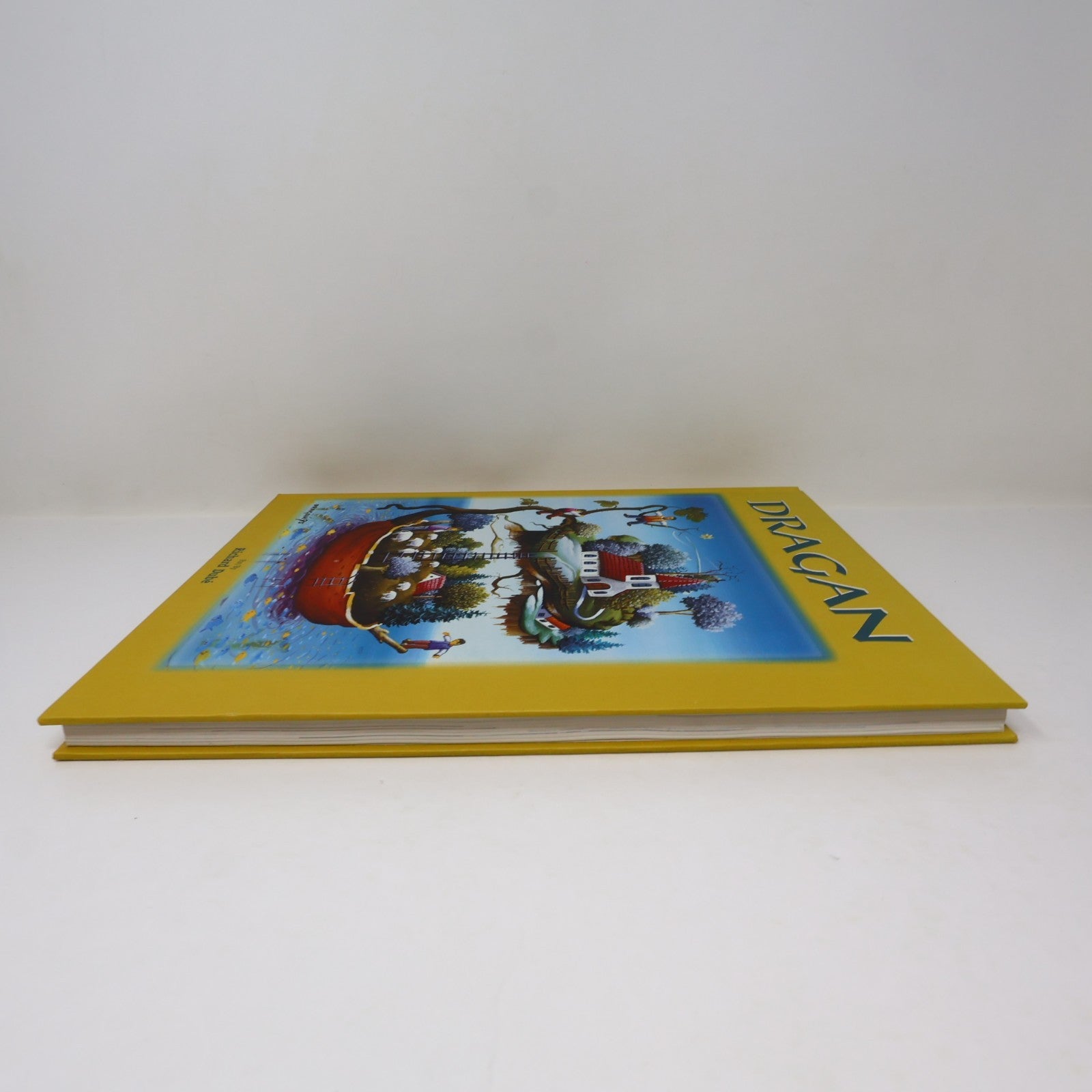 Dragan Art Monographie d'Artiste 1995 HC Galerie Jeannine Blais Hardcover Book
