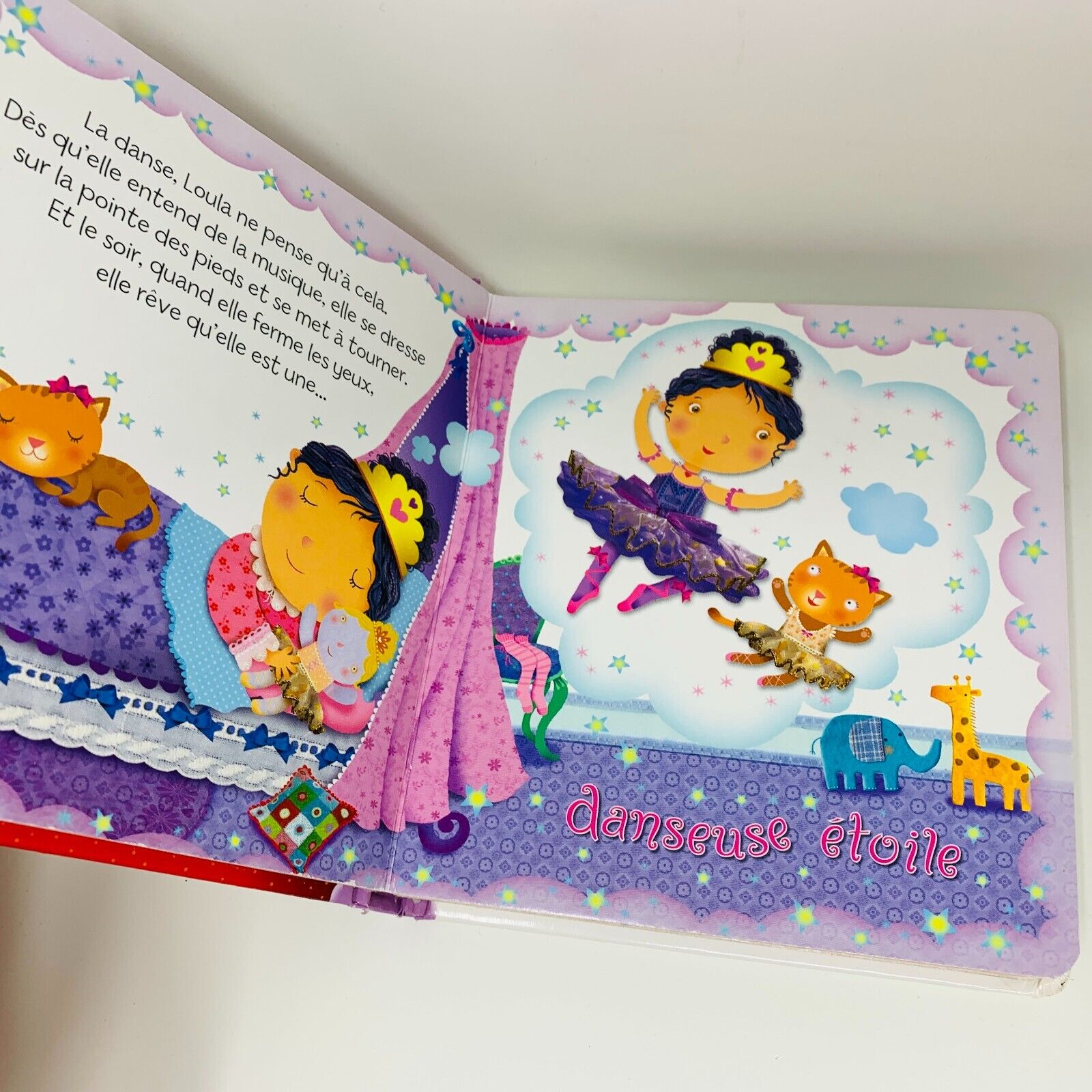 Lot 9 Livres Jeunes Enfants Princesses Fée Français French Mixed Children Bundle
