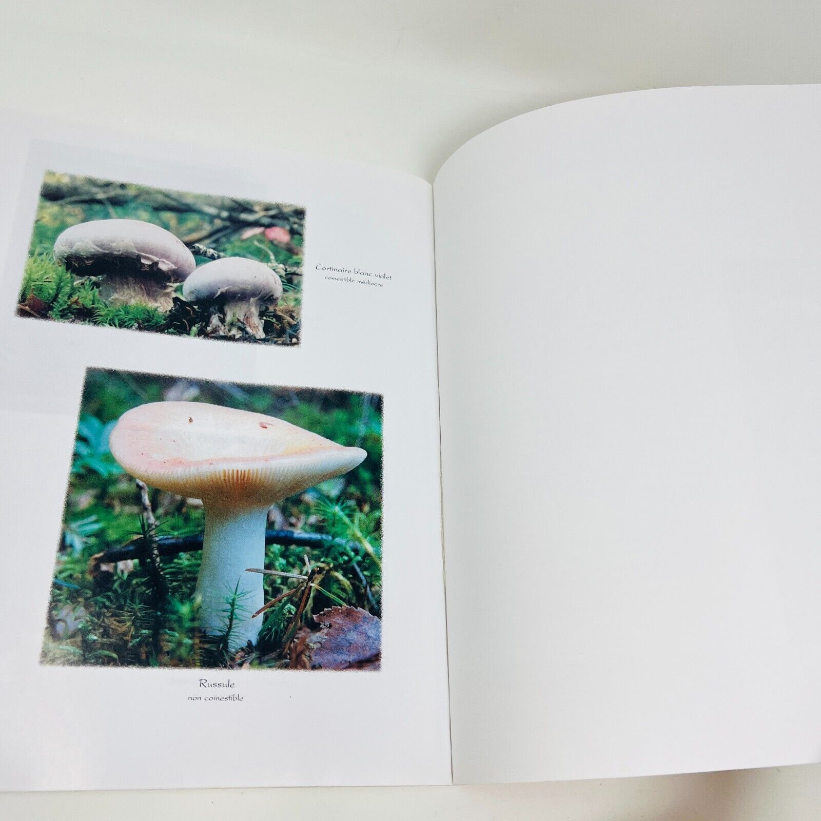 Il Était une Fois des Champignons Sauvages Identifier/Apprêter de Guylaine Duval