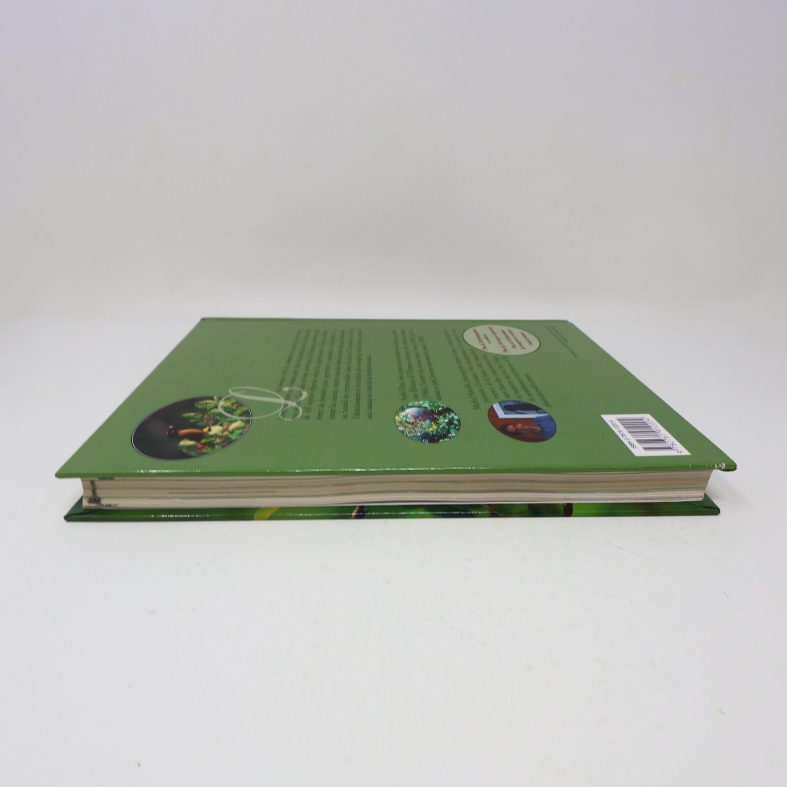 1995 Guide des Oiseaux Saison par Saison André P. Dion Michel Sokolyk Animaux HC