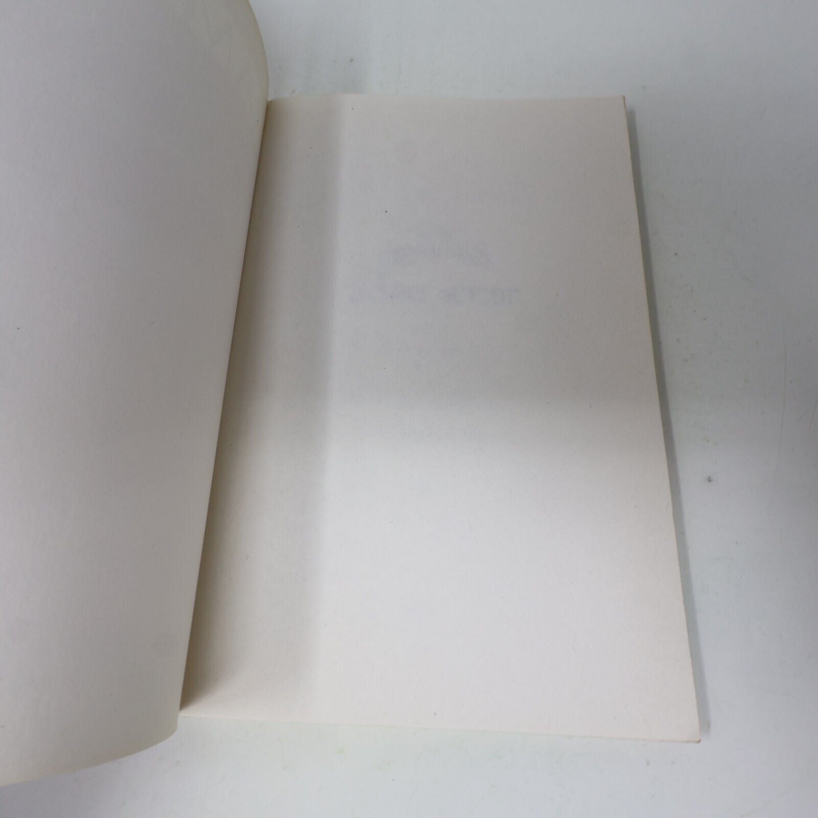 1999 Ramtha Les Sessions l'Âme Soeur Français du Roseau Spiritualité Livre PB