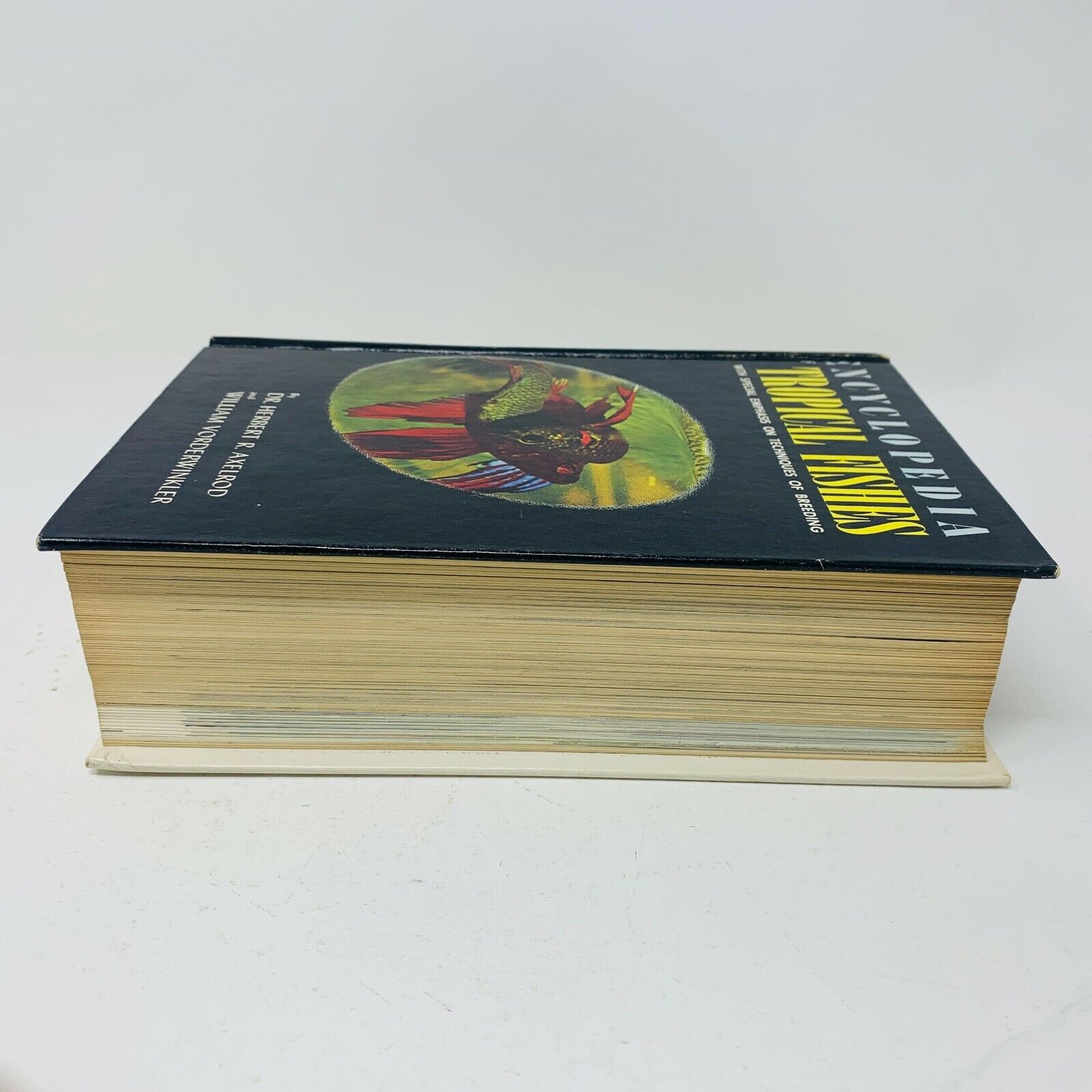 1966 Encyclopedia of Tropical Fishes Techniques of Breeding Herbert R. Axelrod