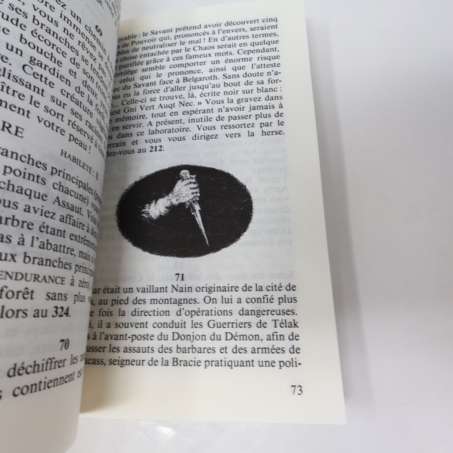 Les Chevaliers du Destin Jackson/ Livingstone Défis Fantastiques #55 LDVELH 1995