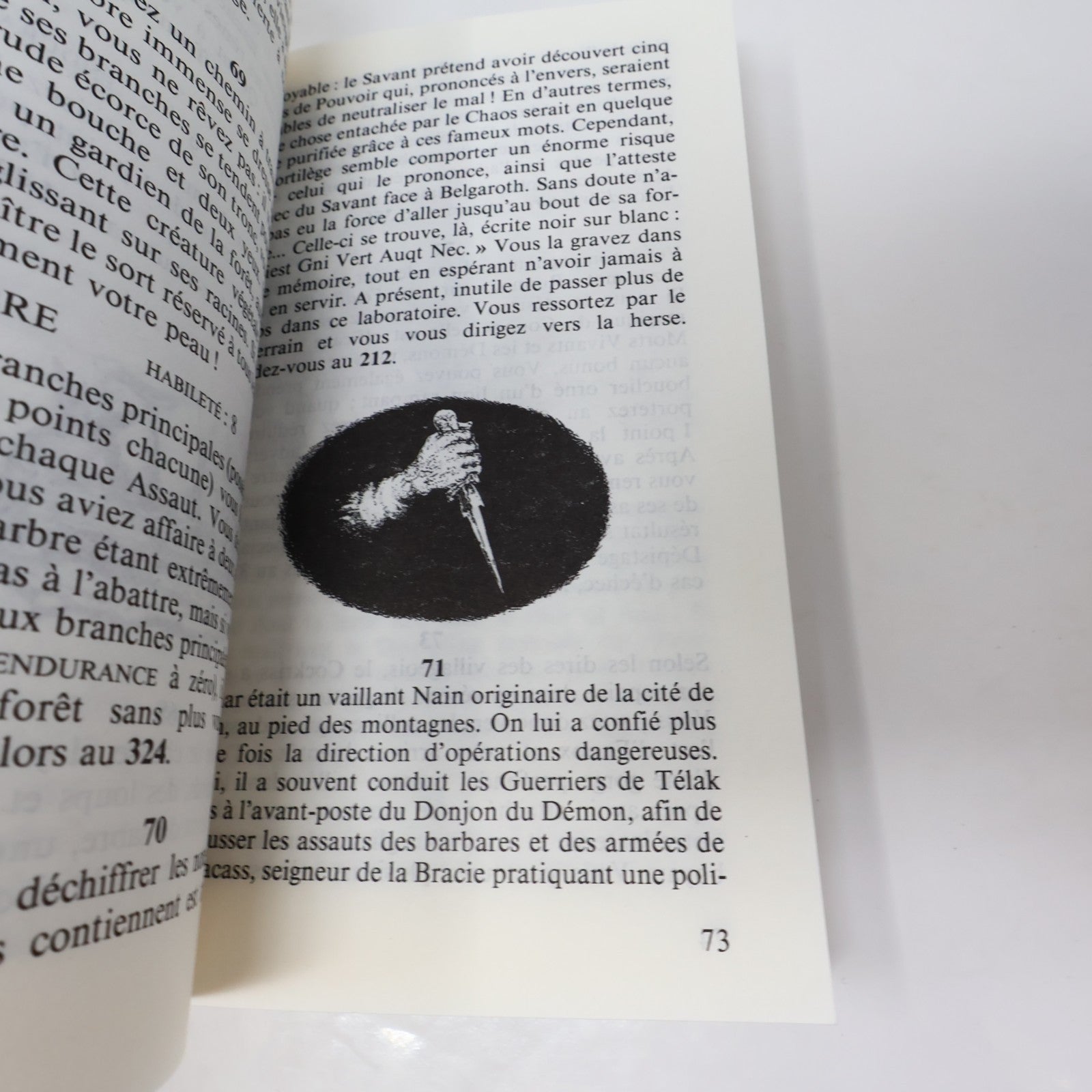 Les Chevaliers du Destin Jackson/ Livingstone Défis Fantastiques #55 LDVELH 1995