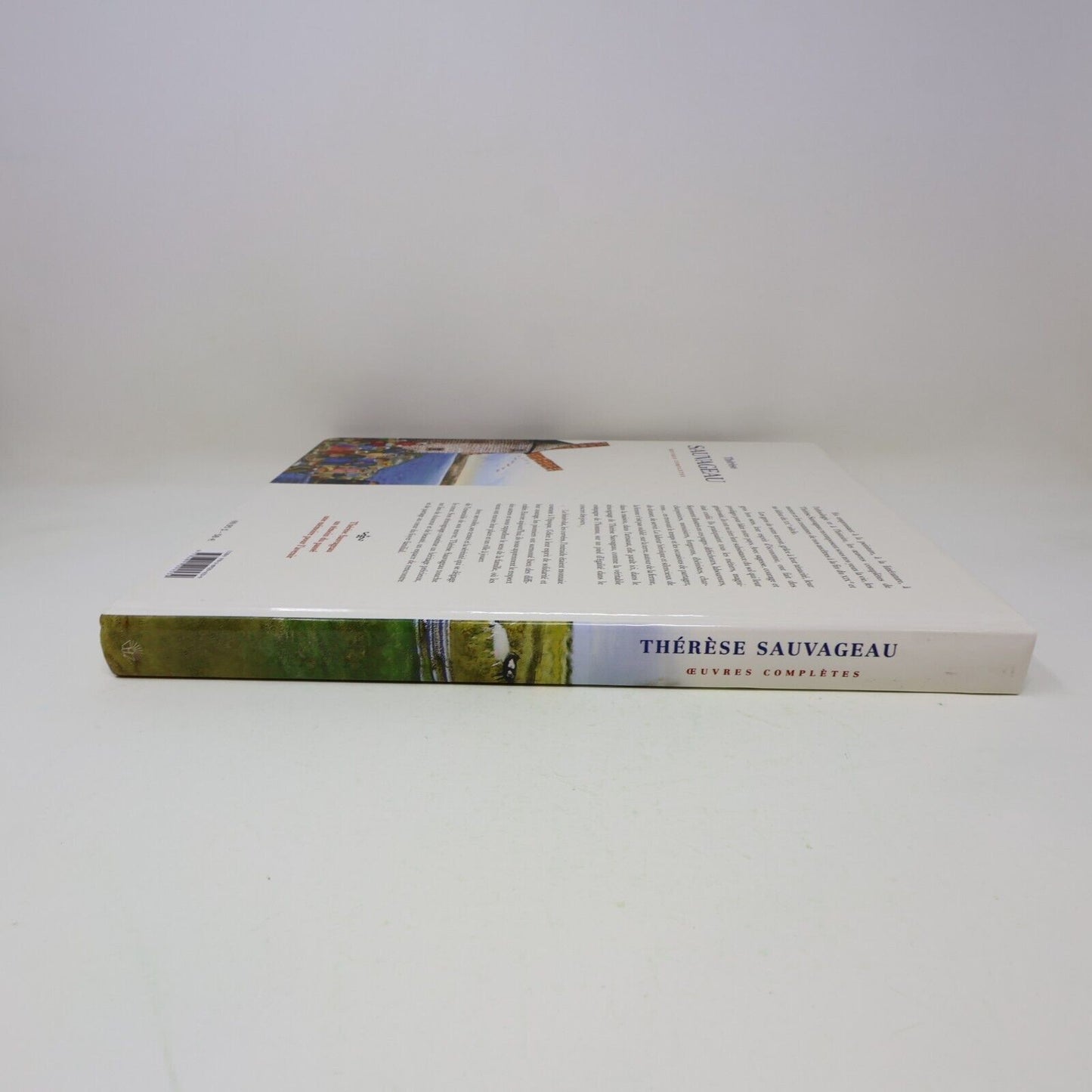 2004 Thérèse Sauvageau Témoin de Notre Passé Oeuvre Complète Art Histoire Canada