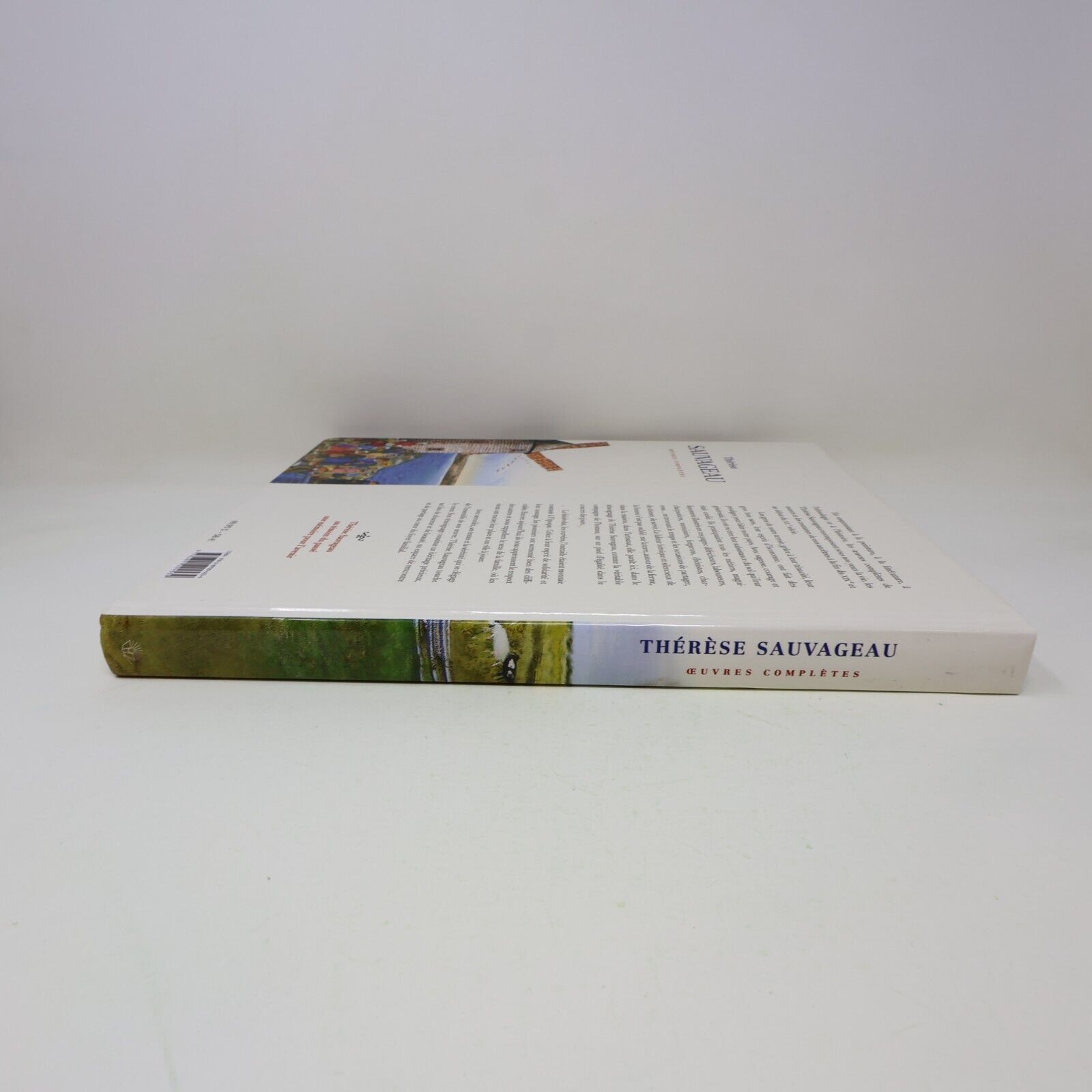 2004 Thérèse Sauvageau Témoin de Notre Passé Oeuvre Complète Art Histoire Canada
