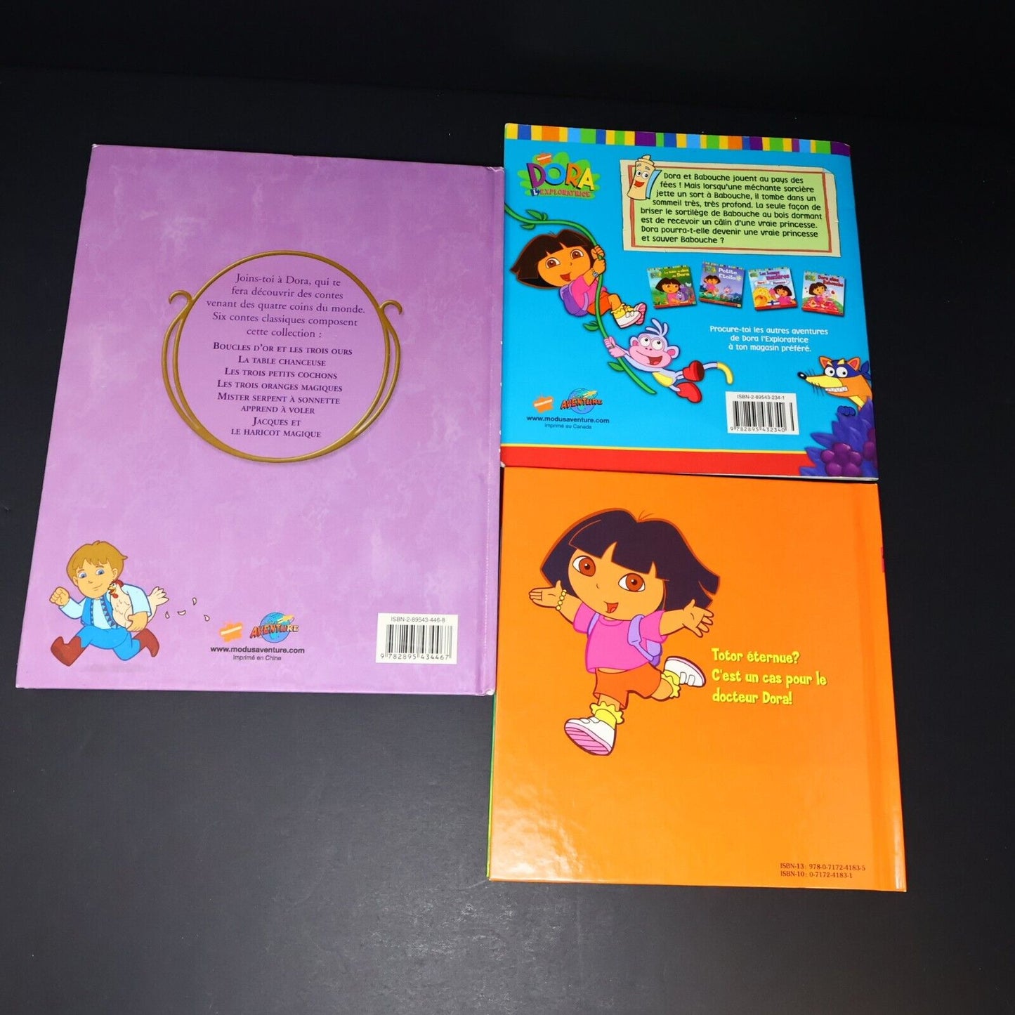 Lot 6 Livres Dora l'Exploratrice Français French Enfants Le Pique-Nique de Dora