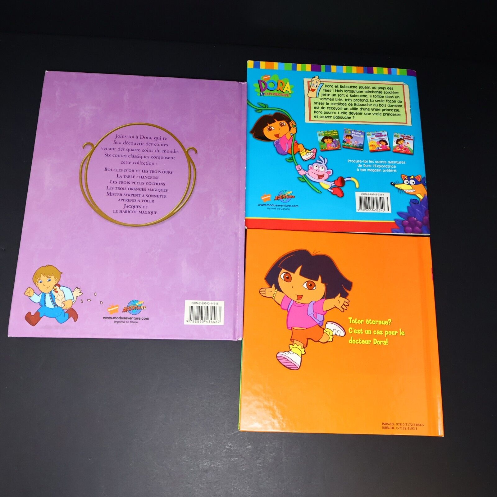 Lot 6 Livres Dora l'Exploratrice Français French Enfants Le Pique-Nique de Dora