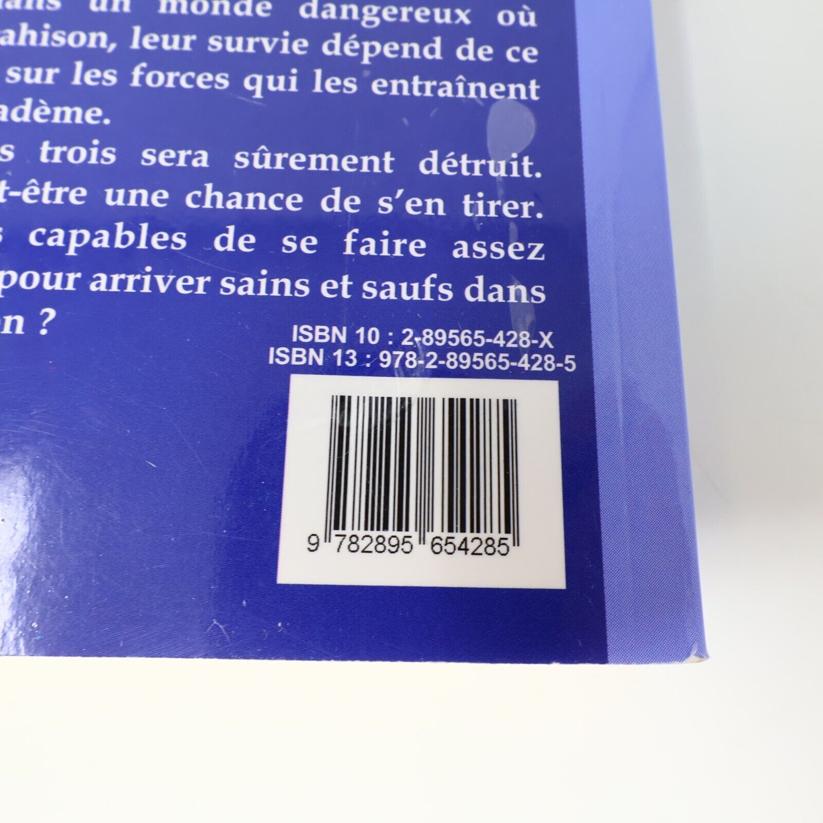 Lot 10 Livres Les Mondes de la Magie du Diadème #1-10 de John Peel Ada Français