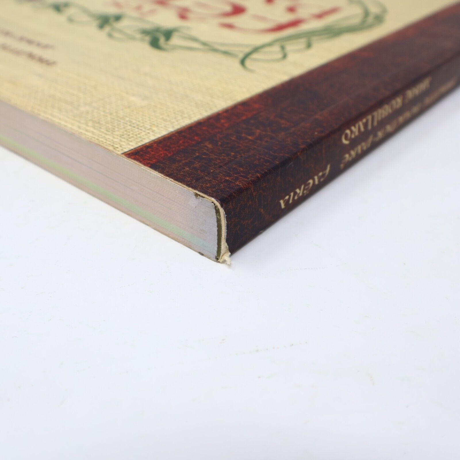 2008 Chevaliers d'Émeraude Les Fêtes de Parandar Cuisine Recettes Français Livre