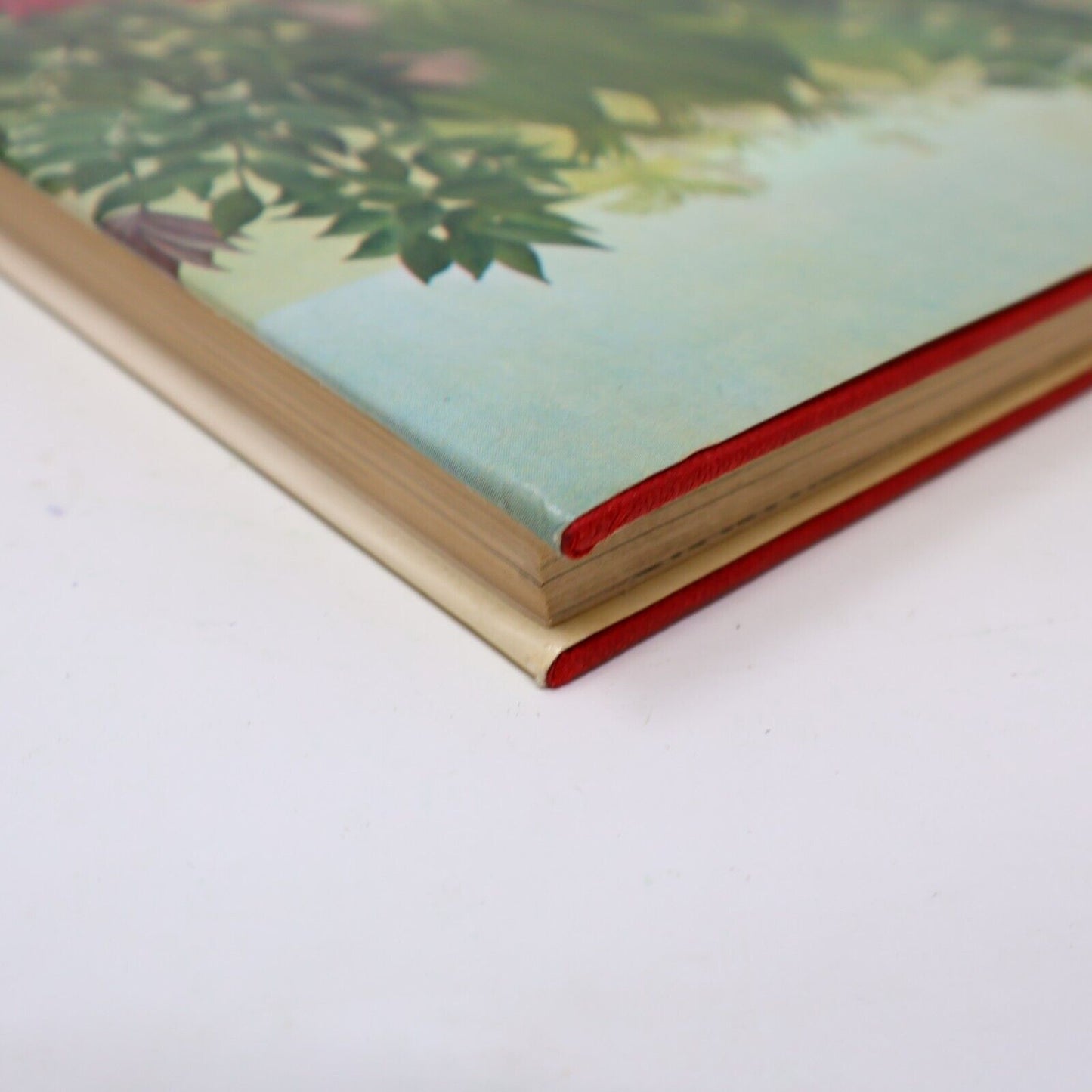1979 Henri Rousseau The Douanier a File Artist's Monograph by Dora Vallier Book