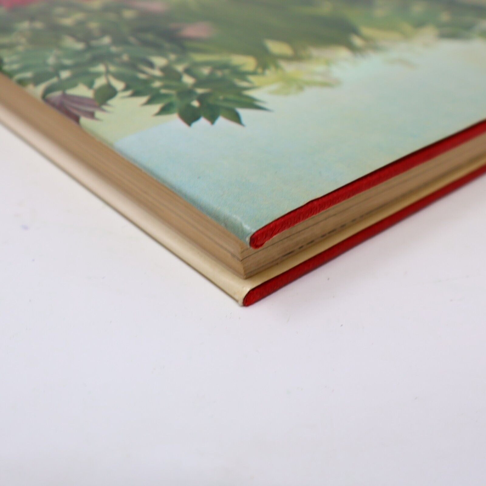 1979 Henri Rousseau The Douanier a File Artist's Monograph by Dora Vallier Book