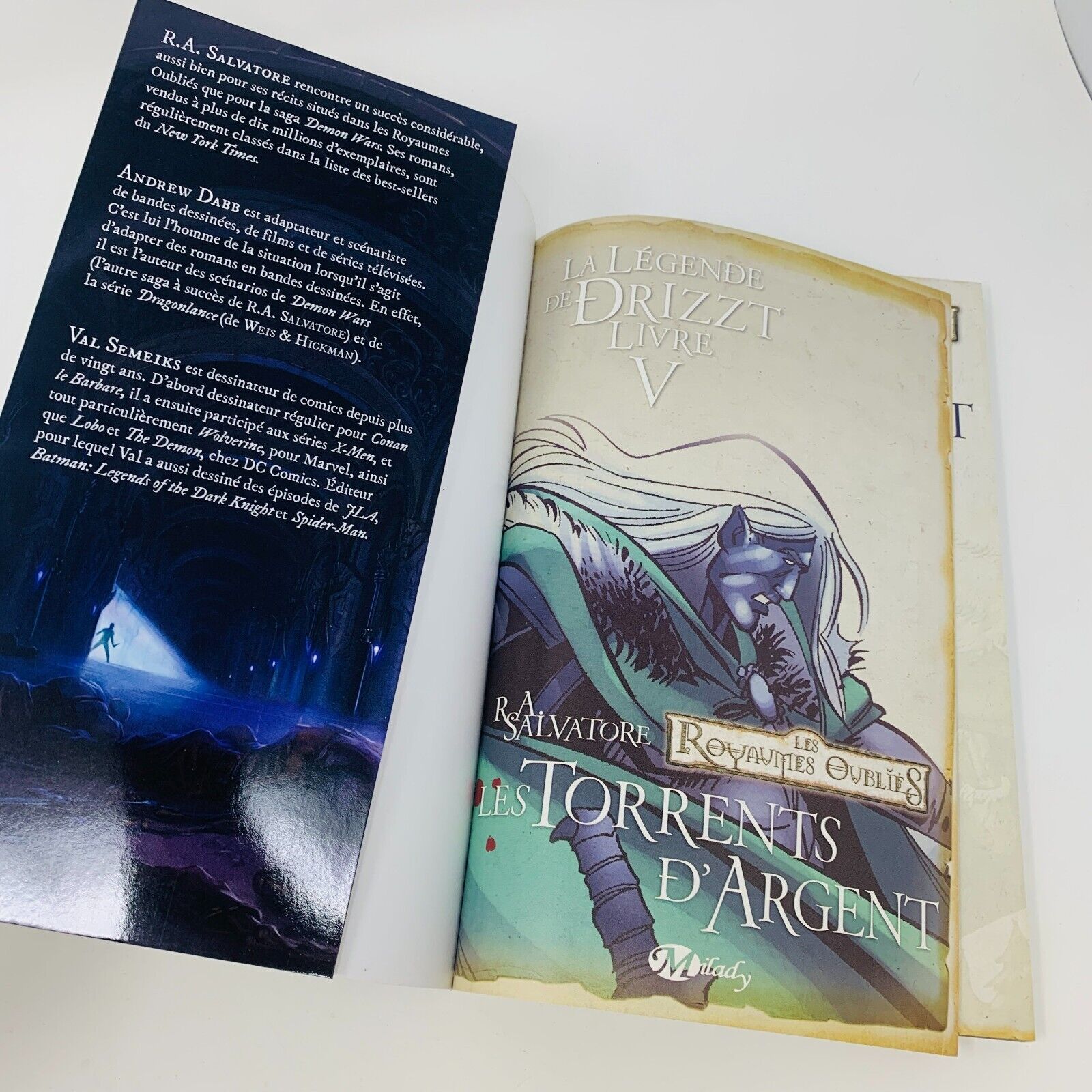 La Légende de Drizzt #5 Les Torrents D'Argent BD Les Royaumes Oubliés Salvatore