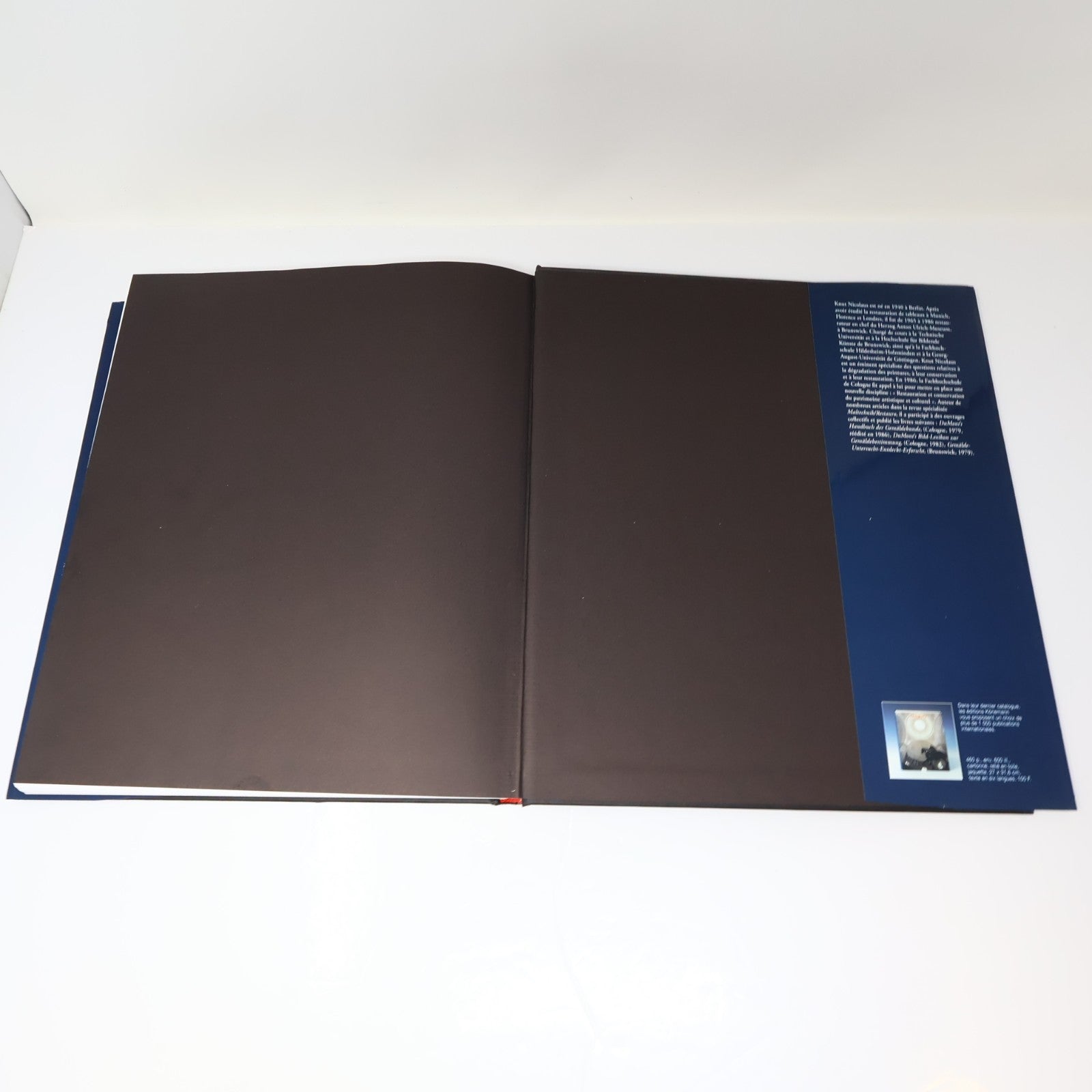 Manuel de Restauration des Tableaux Knut Nicolaus Konemann 1999 HC DJ Français
