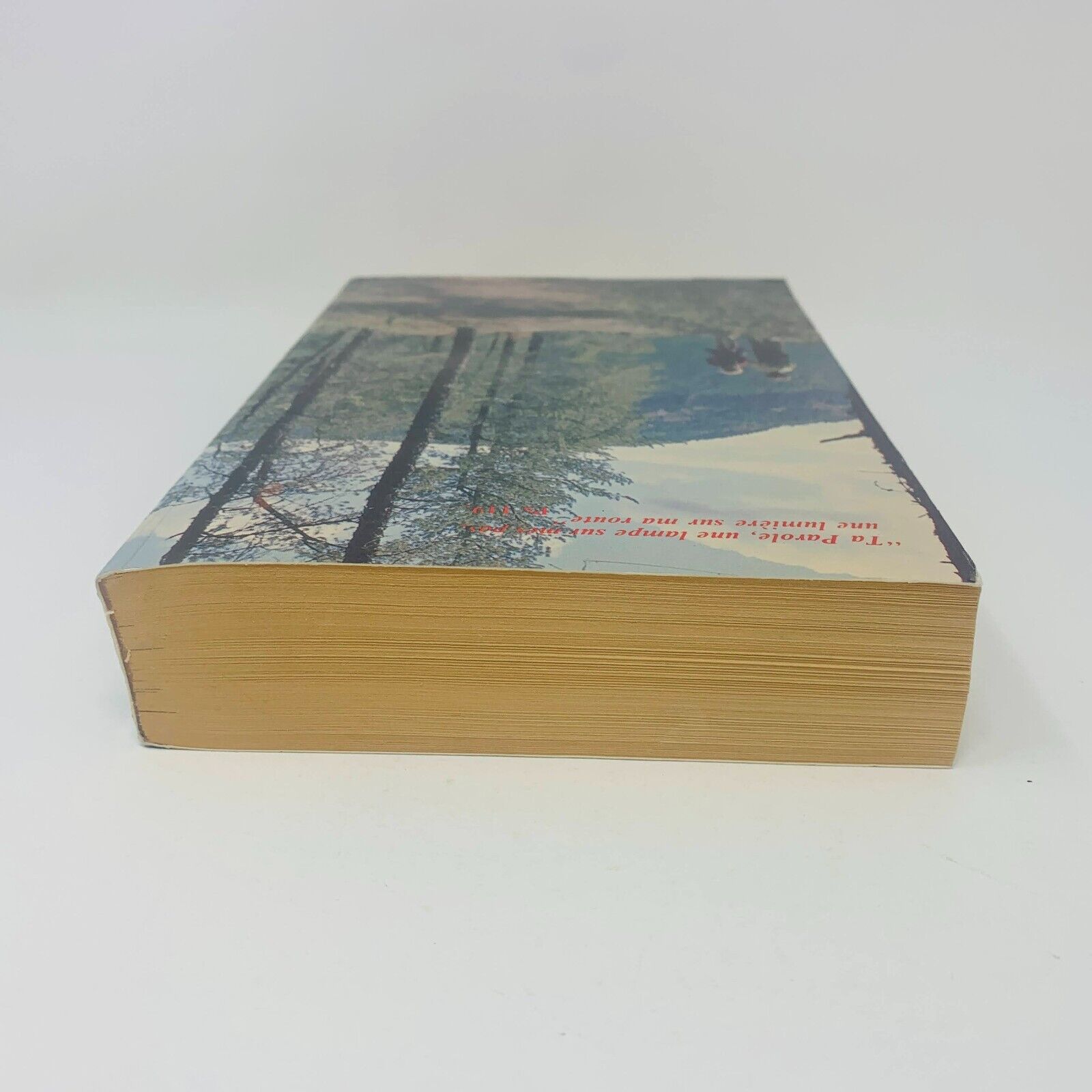 1987 Le Nouveau Testament de la Bible de Jérusalem Anne Sigier / Cerf Français