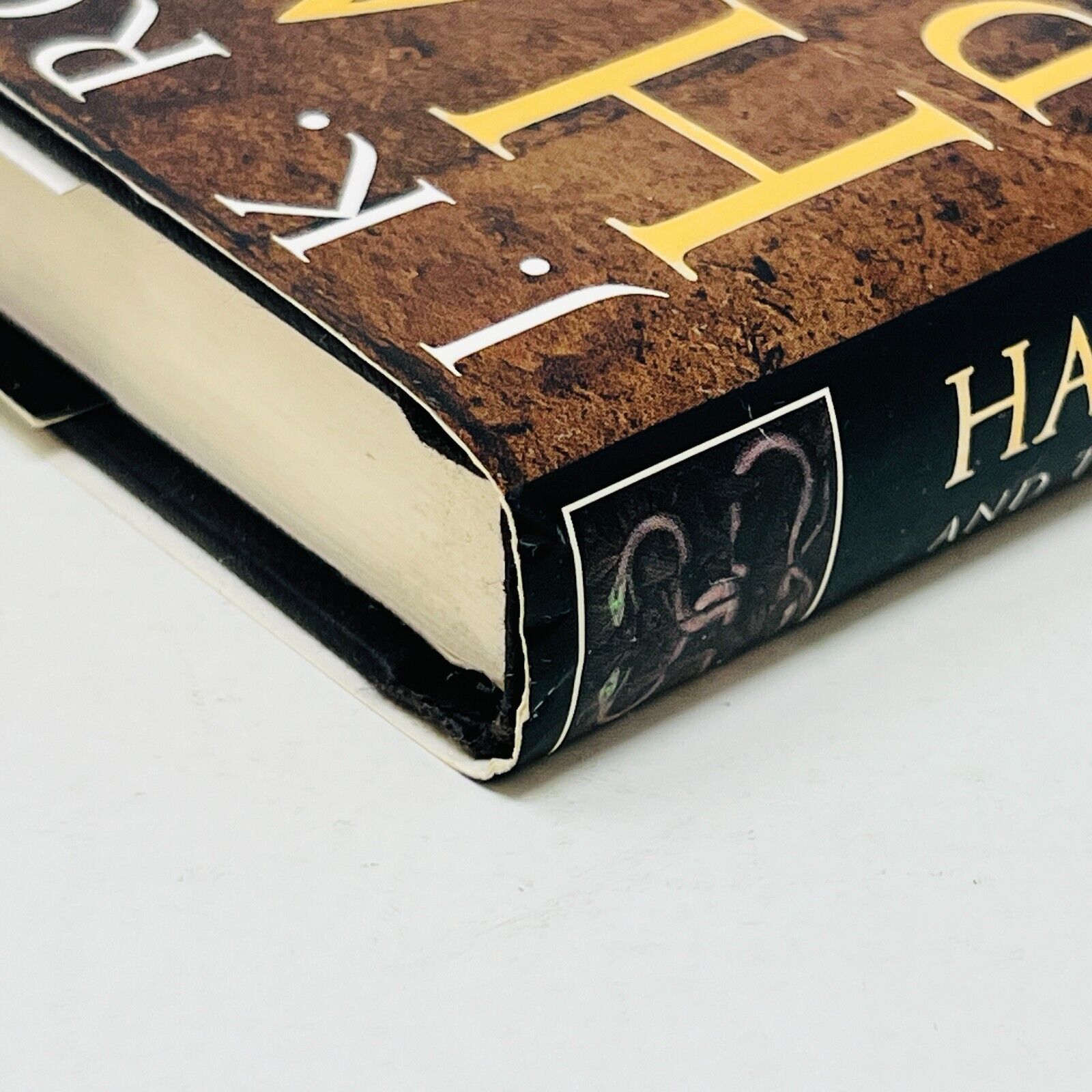 Harry Potter and the Chamber of Secrets Rowling Raincoast Black Cover 1st Print