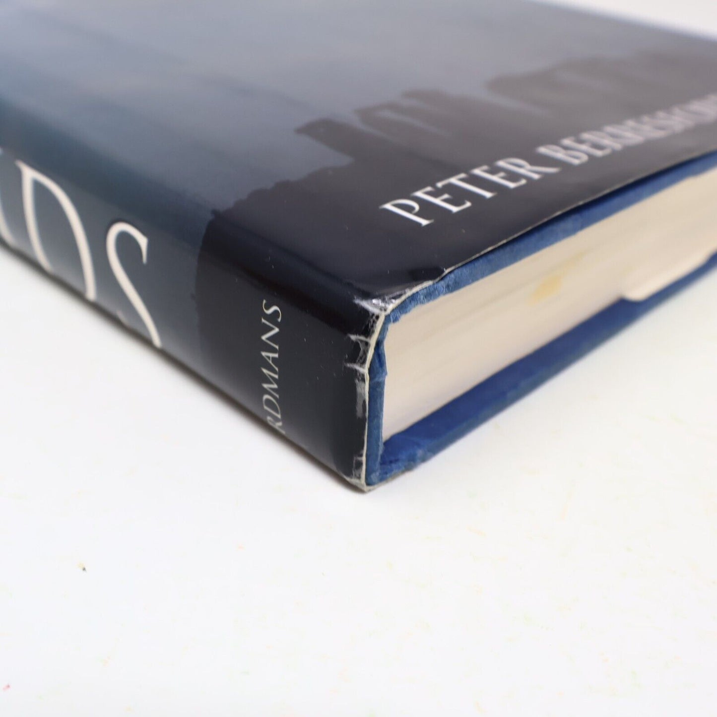 1995 The Druids Peter Berresford Ellis Spirituality Religious History Eerdmans