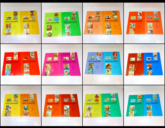 Le Nouveau Tout Connaître Encyclopédie en Couleurs Lot 24 Livres Histoire HC 60s