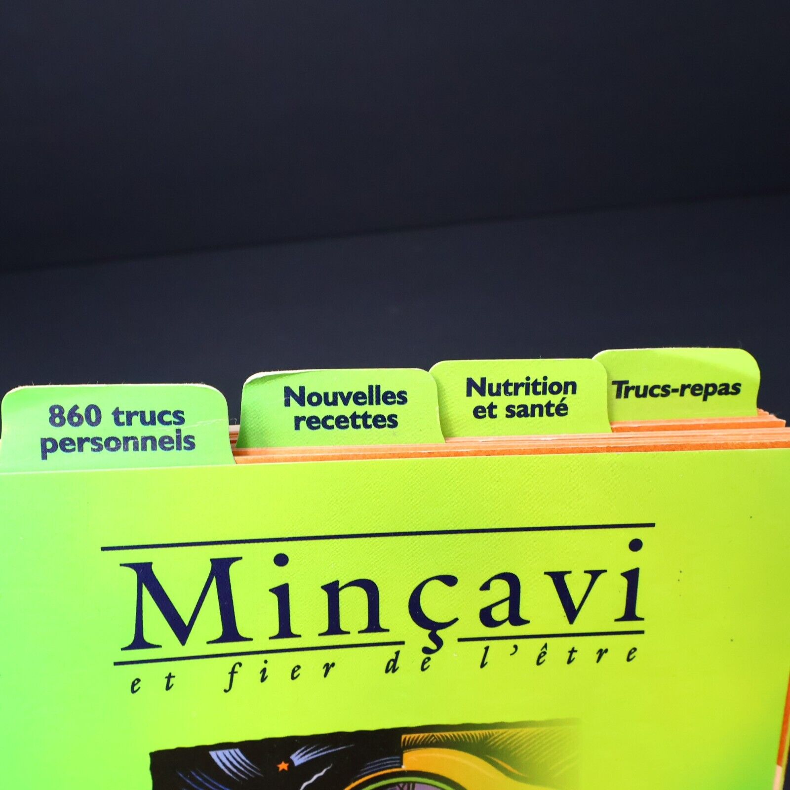 2002 Minçavi Guide de Motivation Paperback PB Témoignages Cuisine Recettes Diète