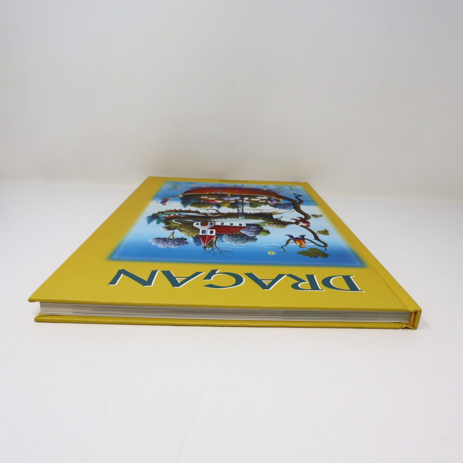 Dragan Art Monographie d'Artiste 1995 HC Galerie Jeannine Blais Hardcover Book