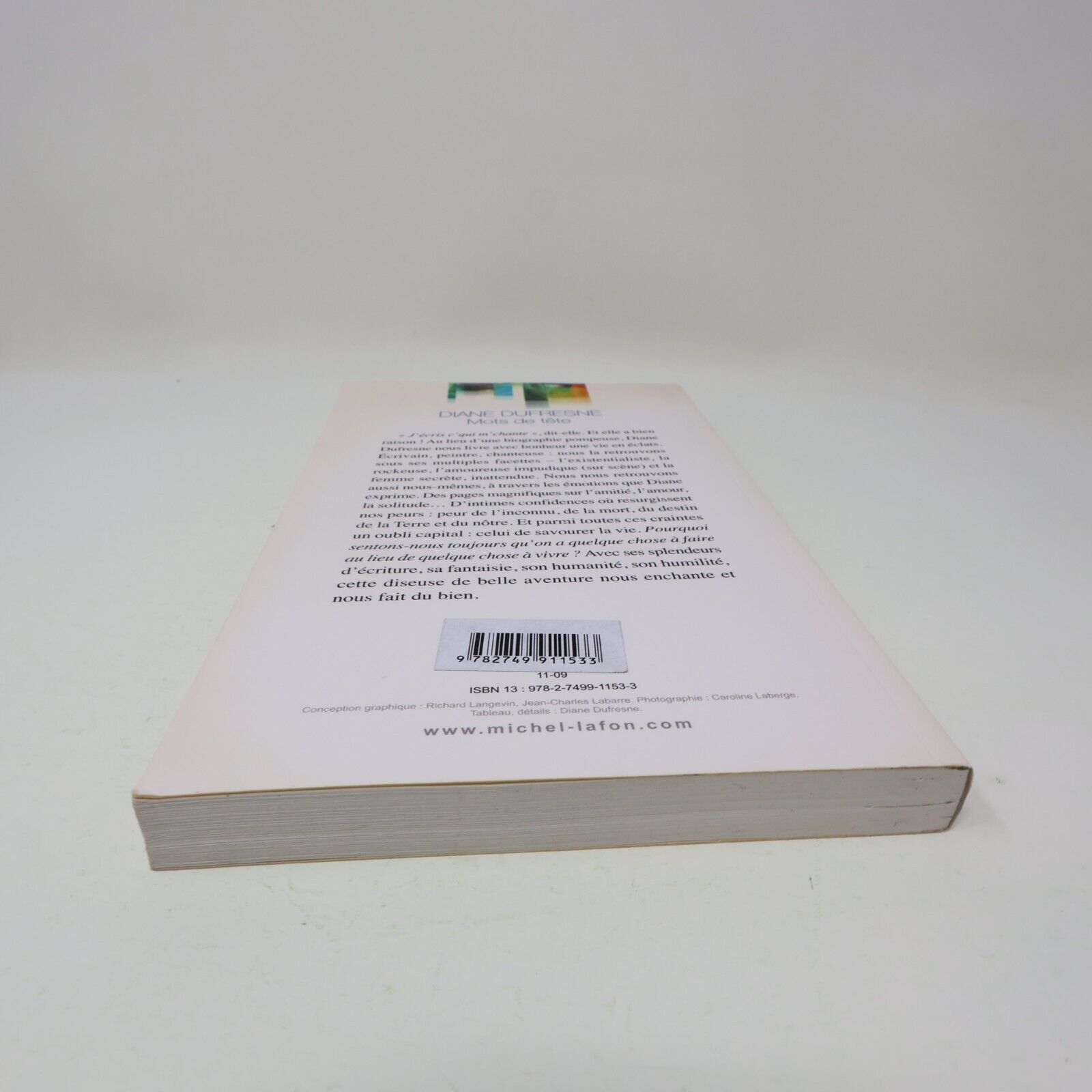 2009 Mots de Tête Diane Dufresne Biographie Musique Chanson Michel Lafon Livre