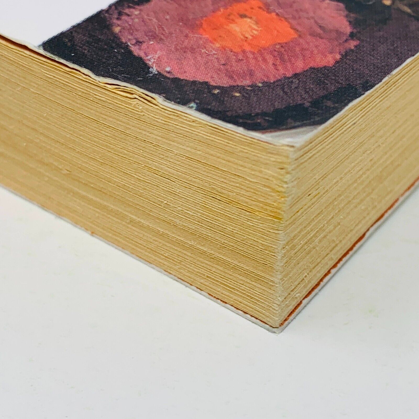 2002 Renaître à la Spiritualité Livre Fides de Richard Bergeron Vie Chrétienne