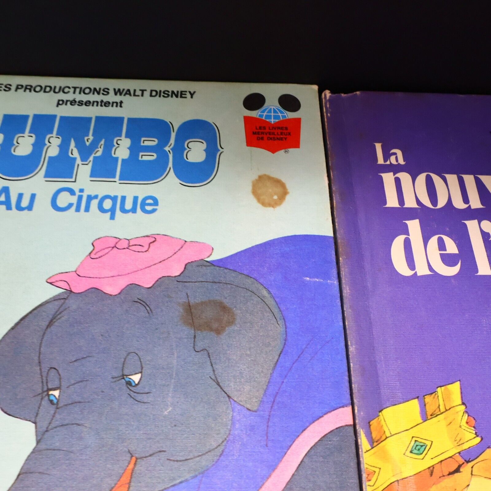 Lot 16 Livres Les Livres Merveilleux de Disney Enfants Livre Loisirs Français HC