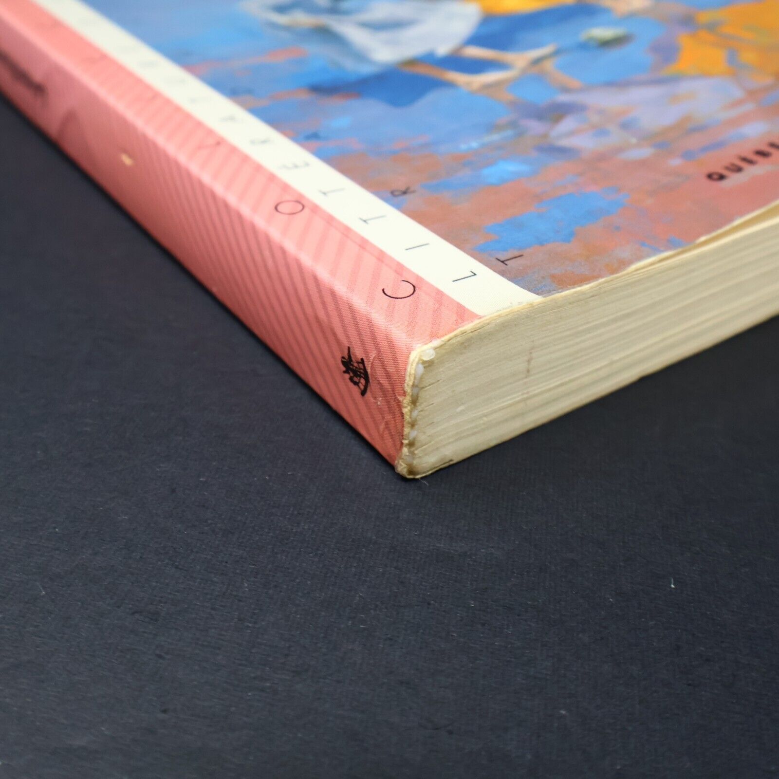 1990 Sur le Rivage de Lucy Maud Montgomery Roman Québec Amérique Français Livre