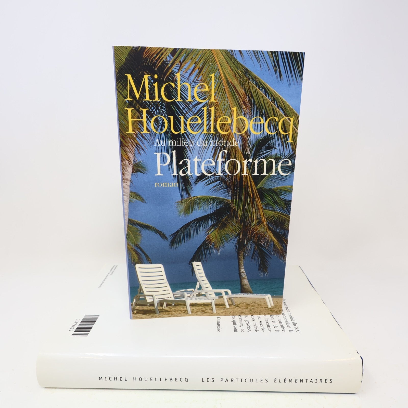 Michel Houellebecq Lot 2 Livres Les Particules Élémentaires/Plateforme Français