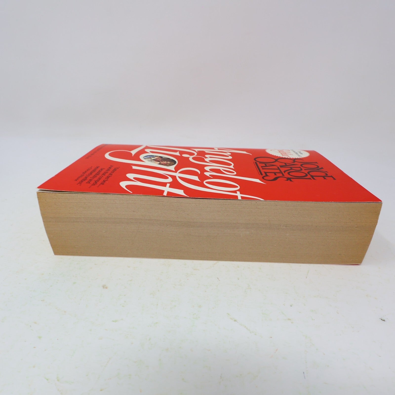 1982 Angel of Light Joyce Carol Oates Warner Historical Fiction Thriller Book PB