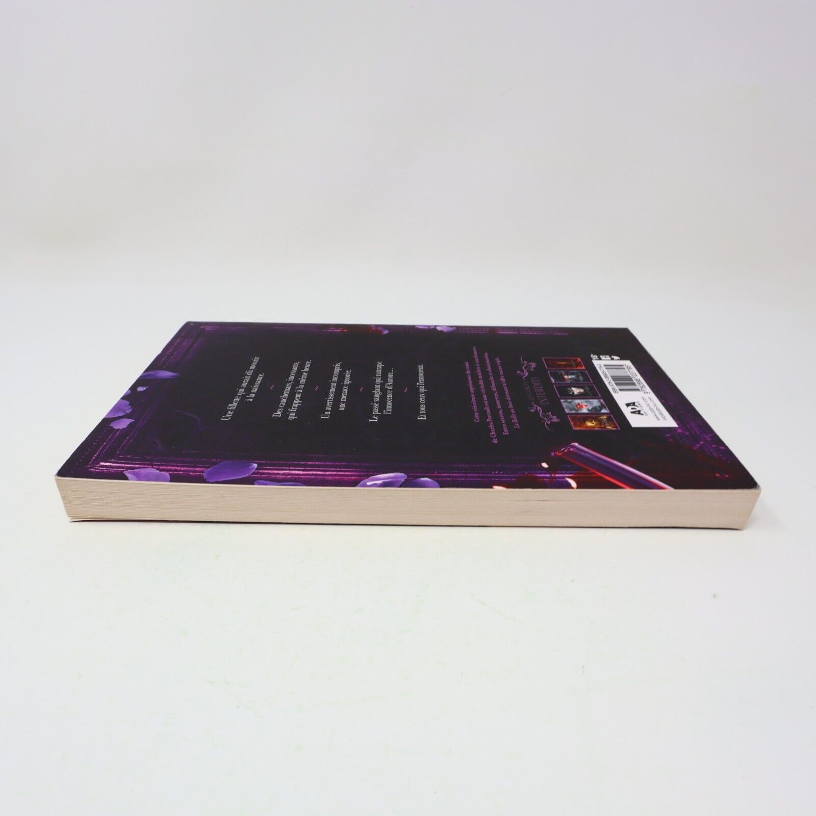 Contes Interdits La Belle au Bois Dormant Louis-Pier Sicard 2019 Ada Français PB