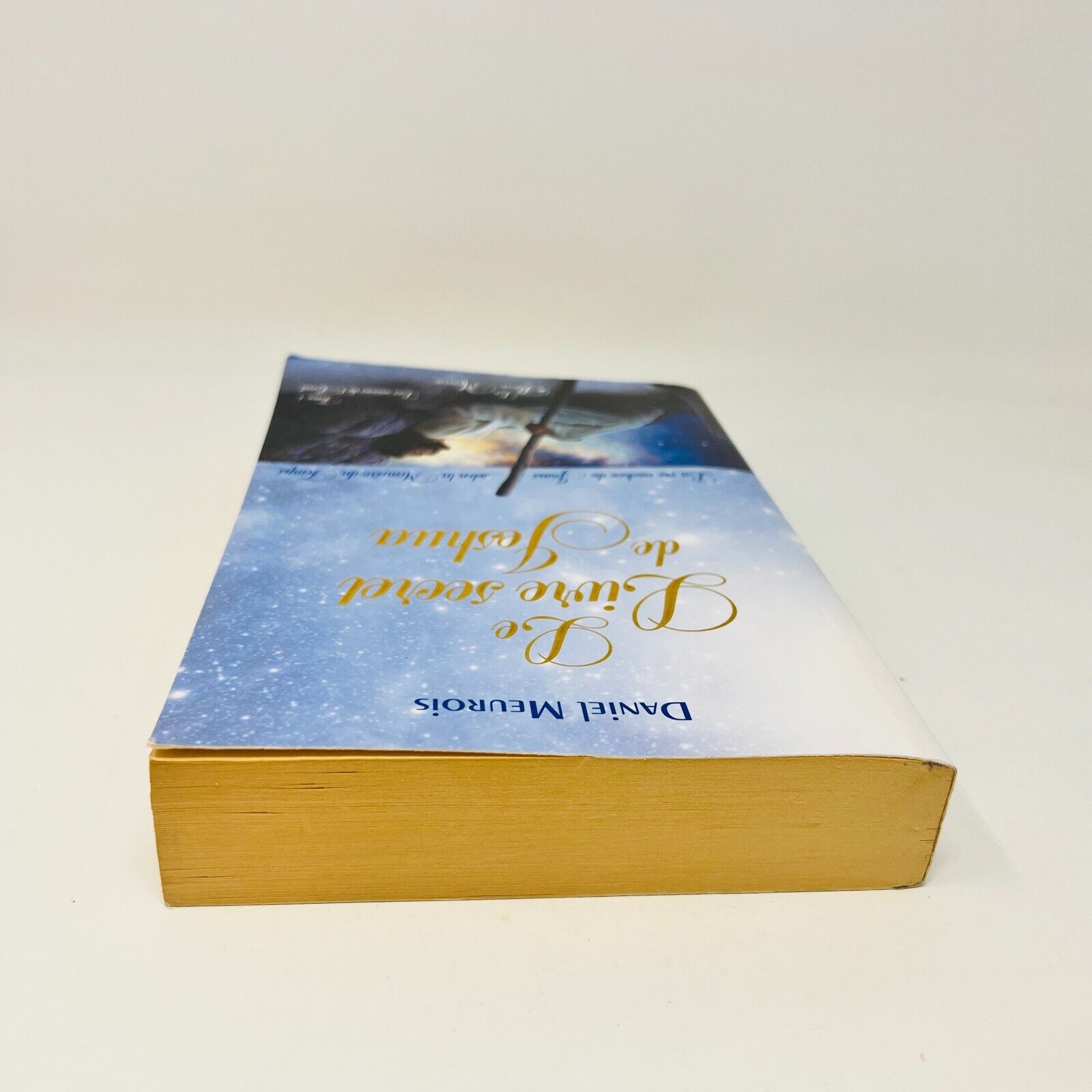 2015 Le livre Secret de Jeshua la Vie Cachée de Jésus Daniel Meurois Passe-Monde