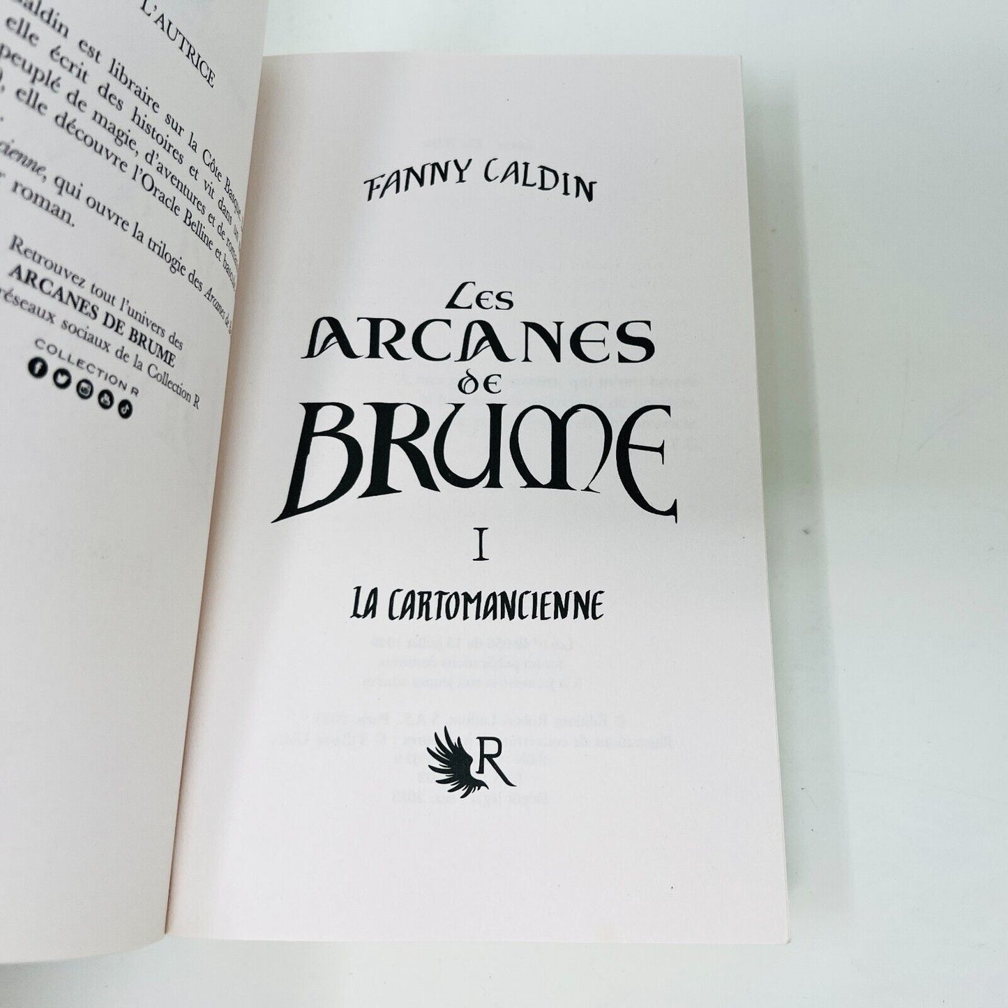 2023 Les Arcanes de Brume Livre 1 La Cartomancienne de Fanny Caldin en Français