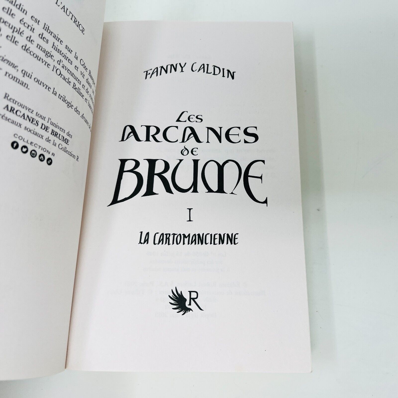 2023 Les Arcanes de Brume Livre 1 La Cartomancienne de Fanny Caldin en Français