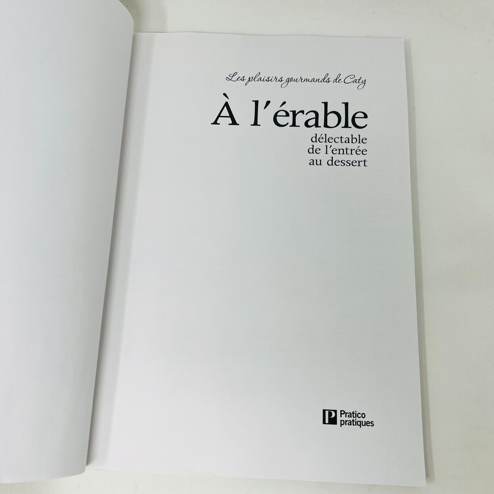 2x Les Plaisirs Gourmands de Caty Plats Mijotés À l'Érable Lot Livres Français