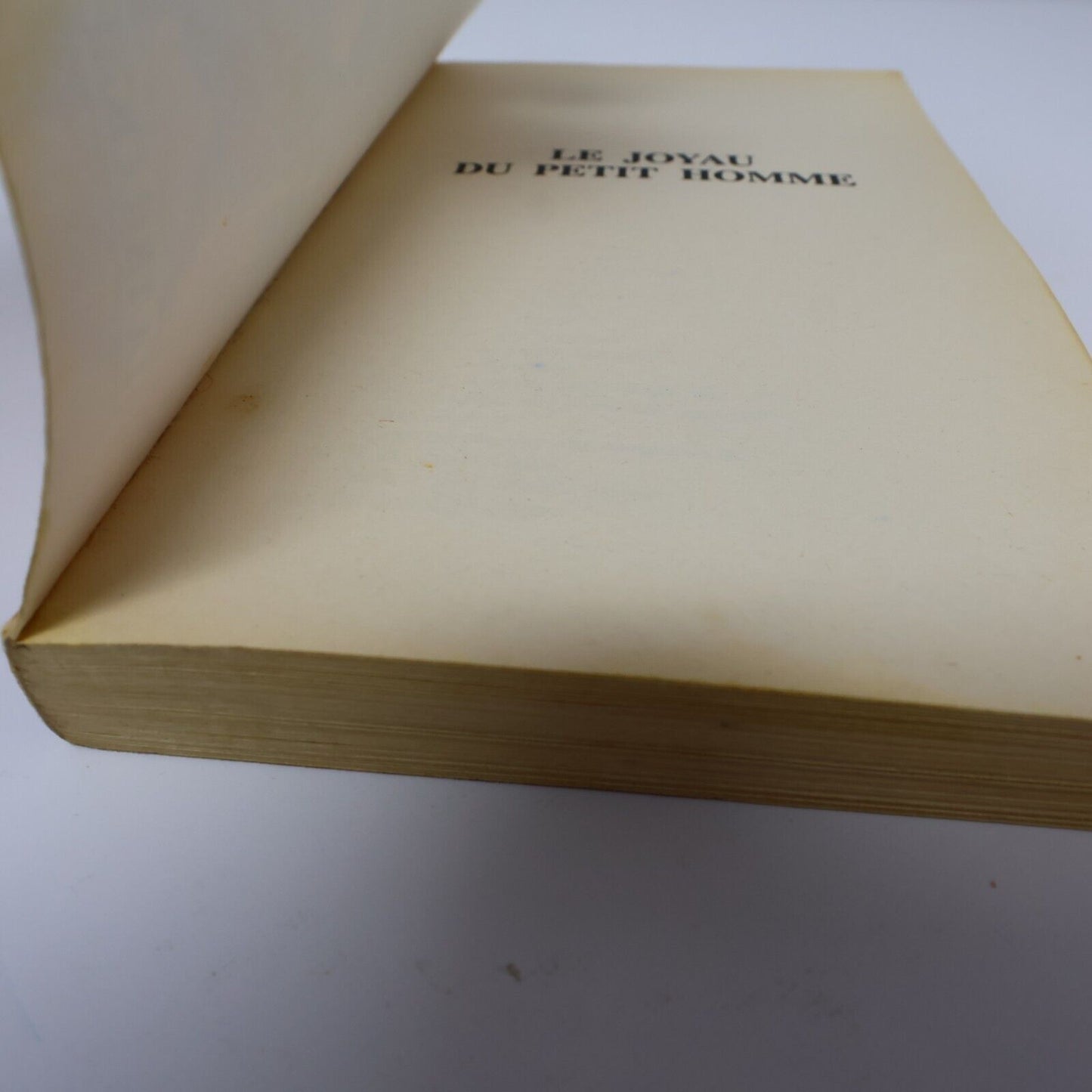 1996 Royaumes Oubliés #17 Le Joyau du Petit Homme La Trilogie du Val Bise Livre