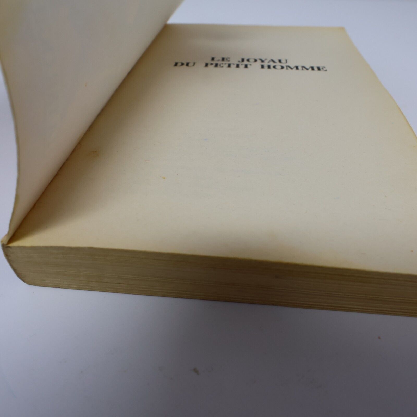 1996 Royaumes Oubliés #17 Le Joyau du Petit Homme La Trilogie du Val Bise Livre