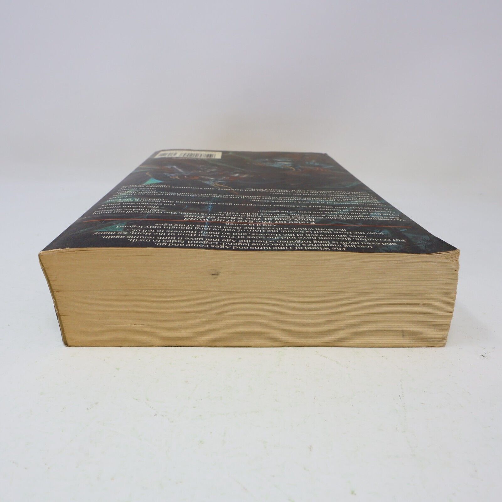 1990 The Wheel of Time #2 The Great Hunt by Robert Jordan Large PB 1st Print TOR