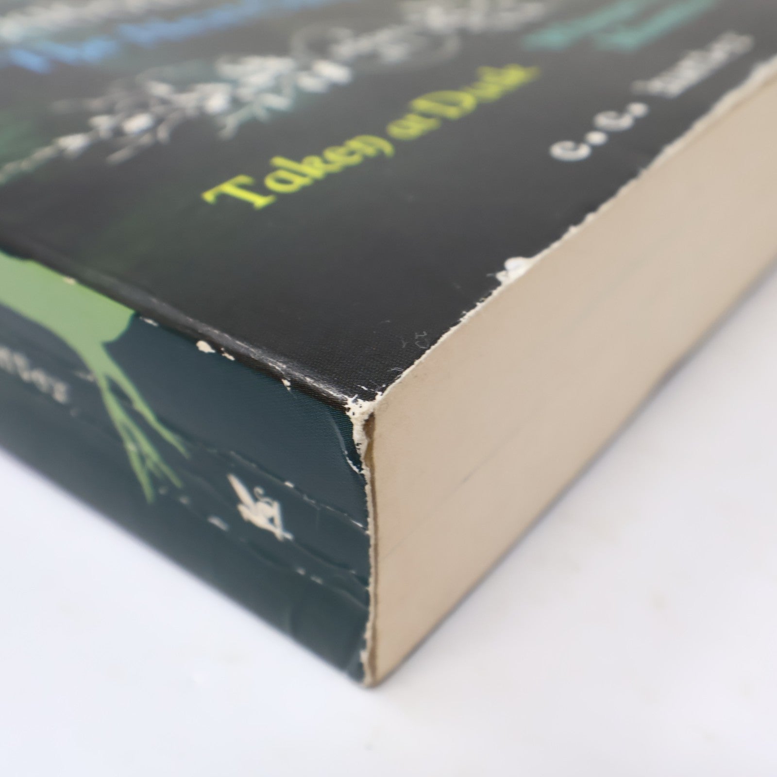 Taken At Dusk/Whispers At Moonrise C. C. Hunter Shadow Falls the Next Chapter PB