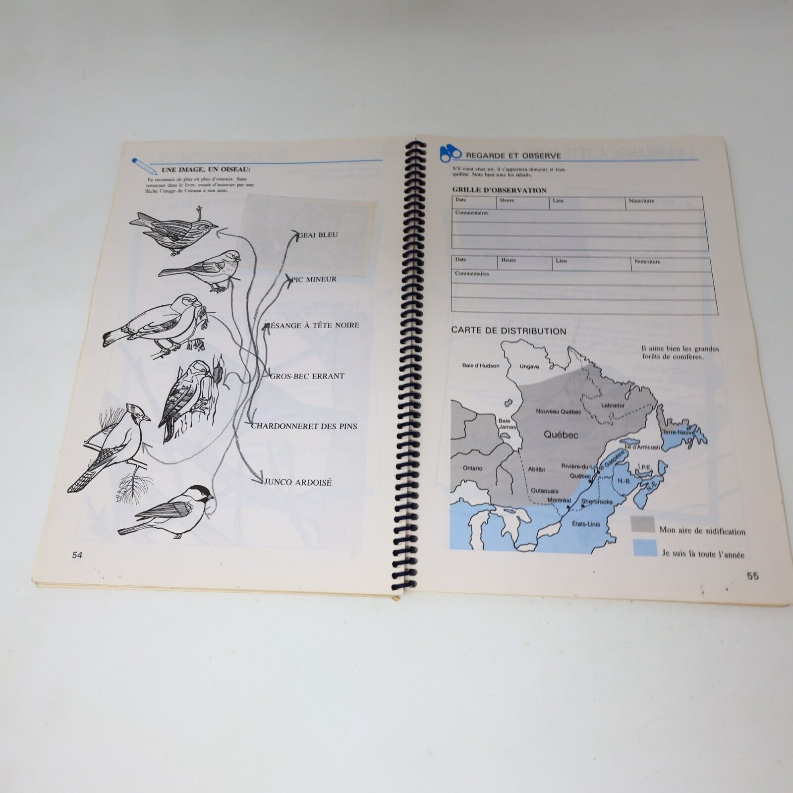1989 S'Appivoiser aux Oiseaux Suzanne Brûlotte Susy le Brun La Collection Plume