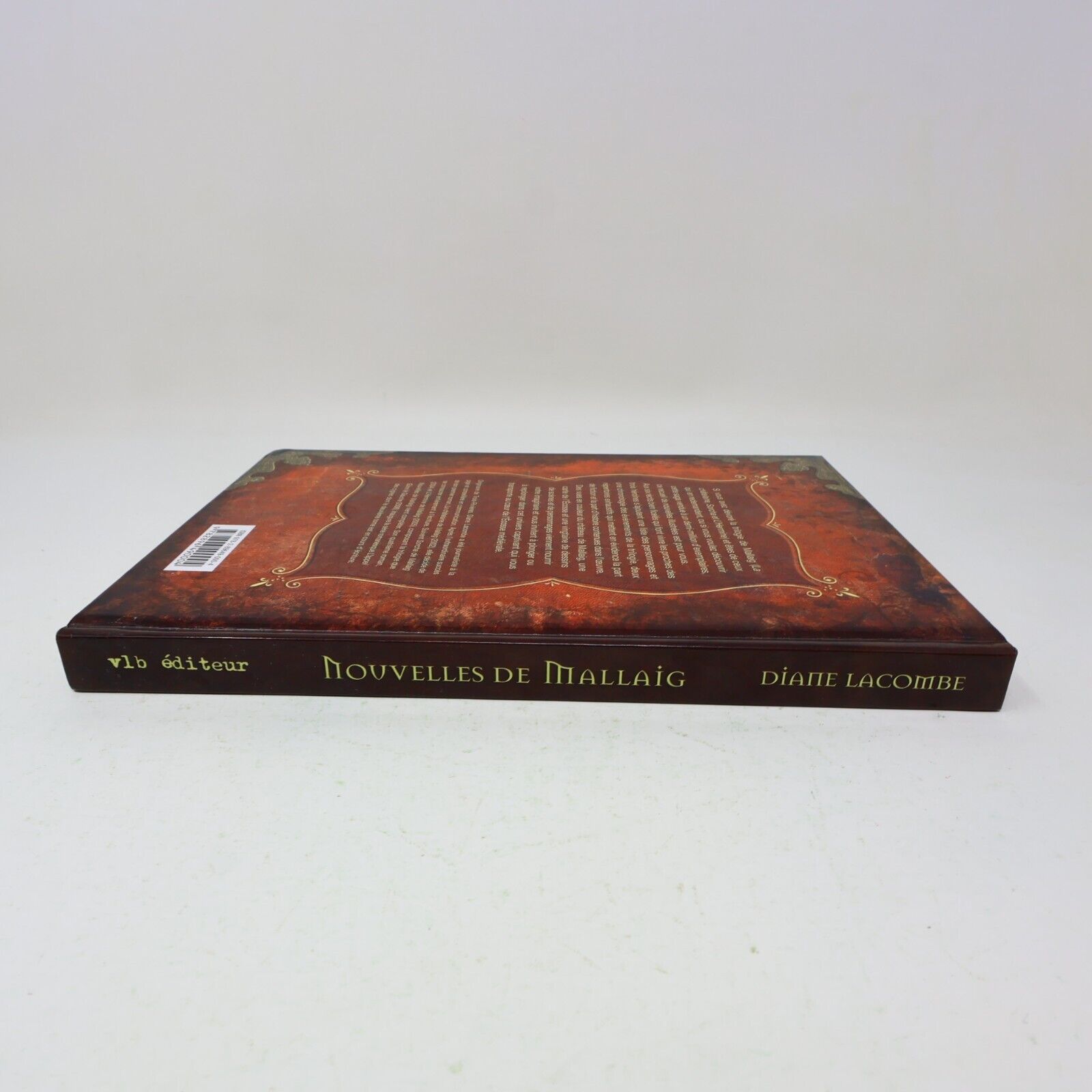 2007 Nouvelles de Mallaig Diane Lacombe Littérature Québécoise Roman Vlb Livre