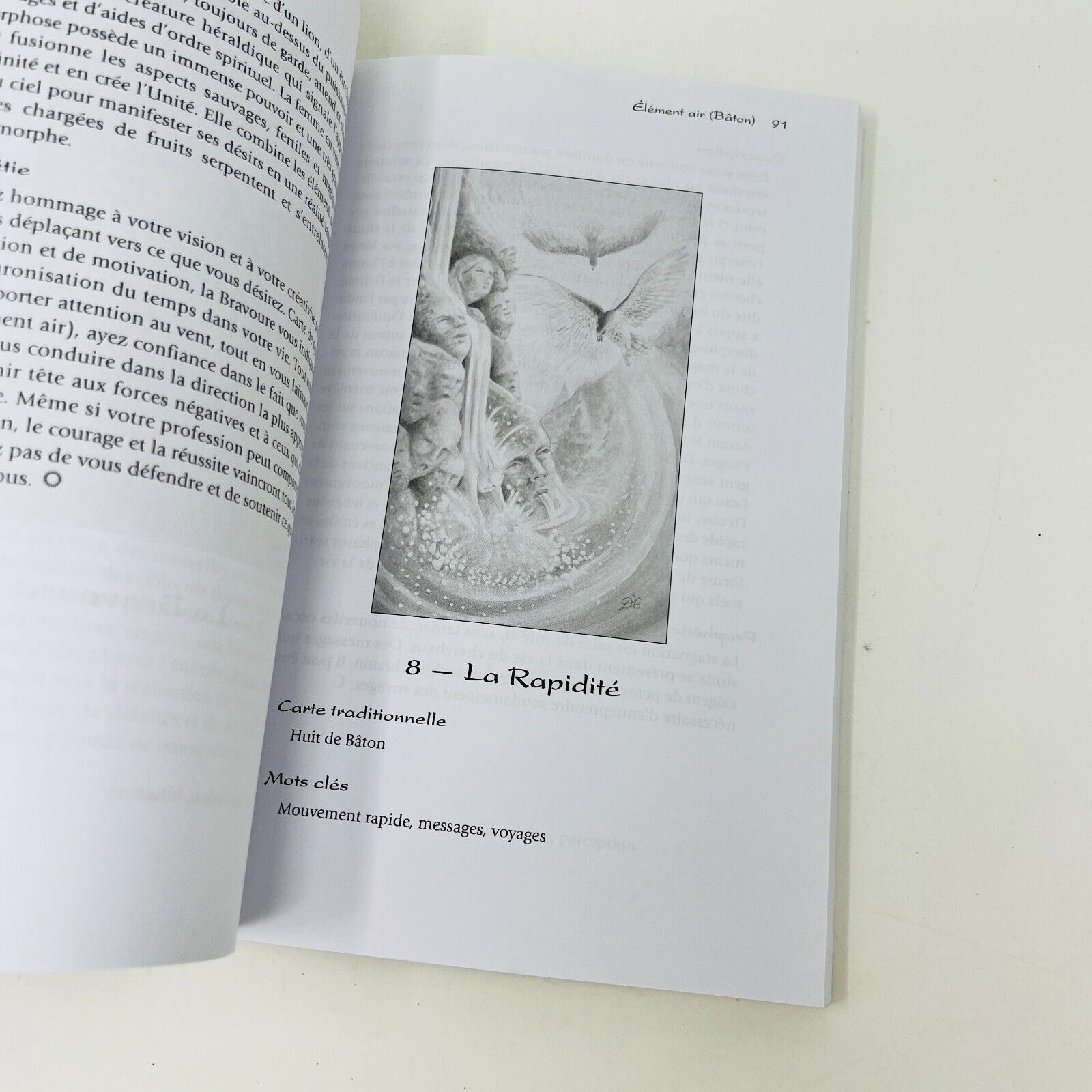 Tarot de la Métamorphose -Livre Seulement- en Français D.J. Conway/Sirona Knight