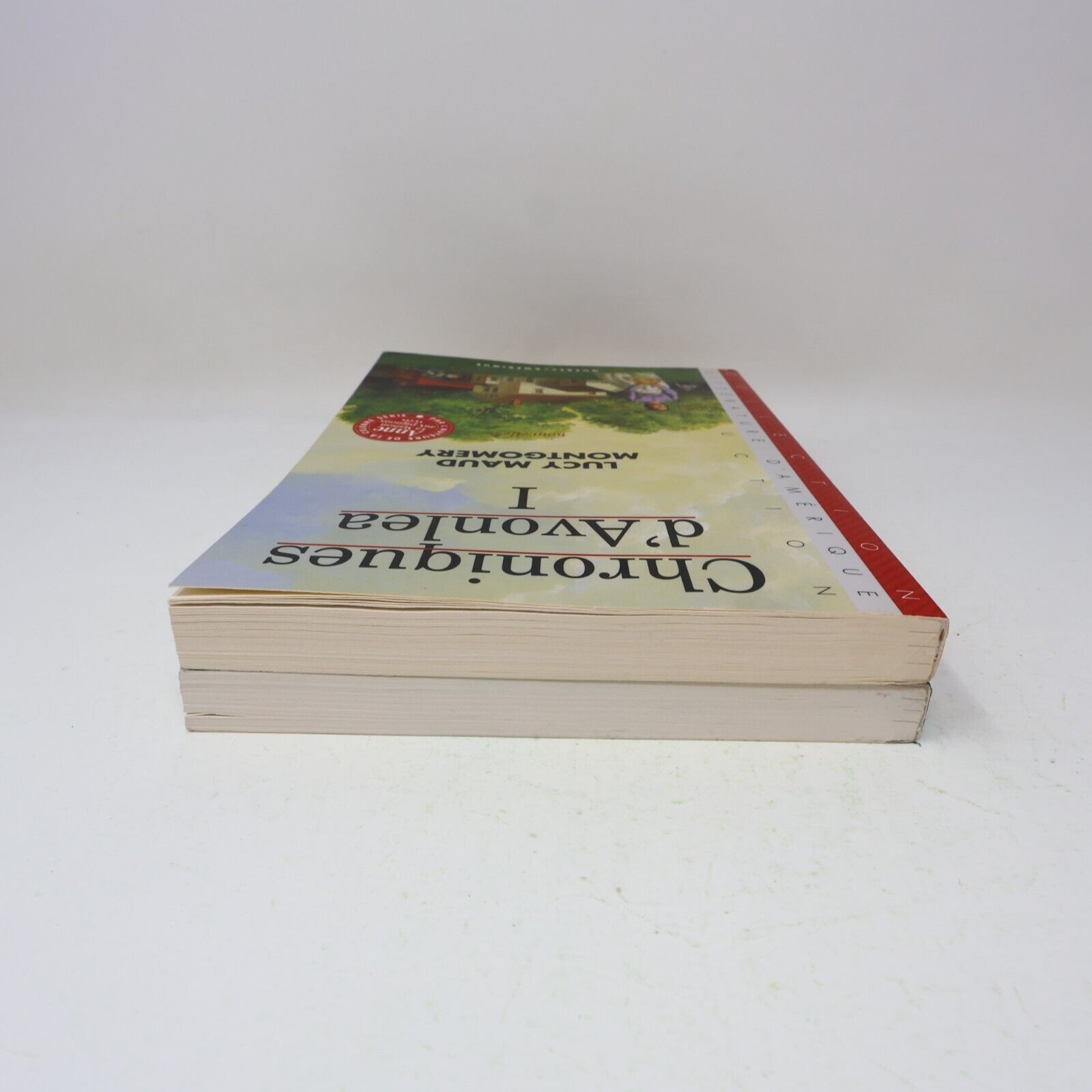 Lot 2 Livres Chroniques d'Avonlea #1-2 de Lucy Maud Montgomery Québec Amérique