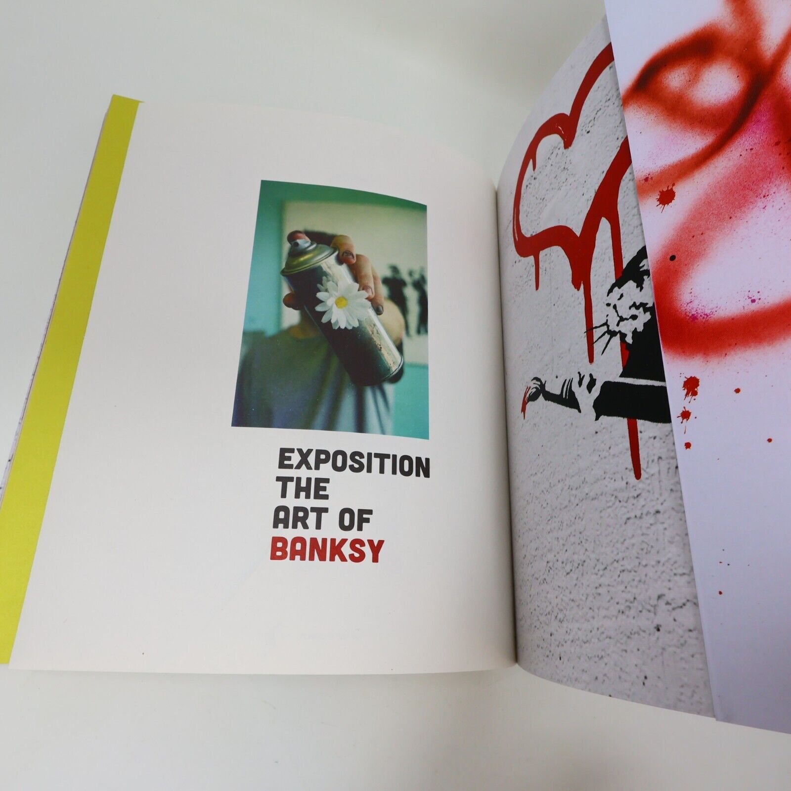 Exposition the Art of Banksy Tansel Baybara Français French Paperback Catalogue