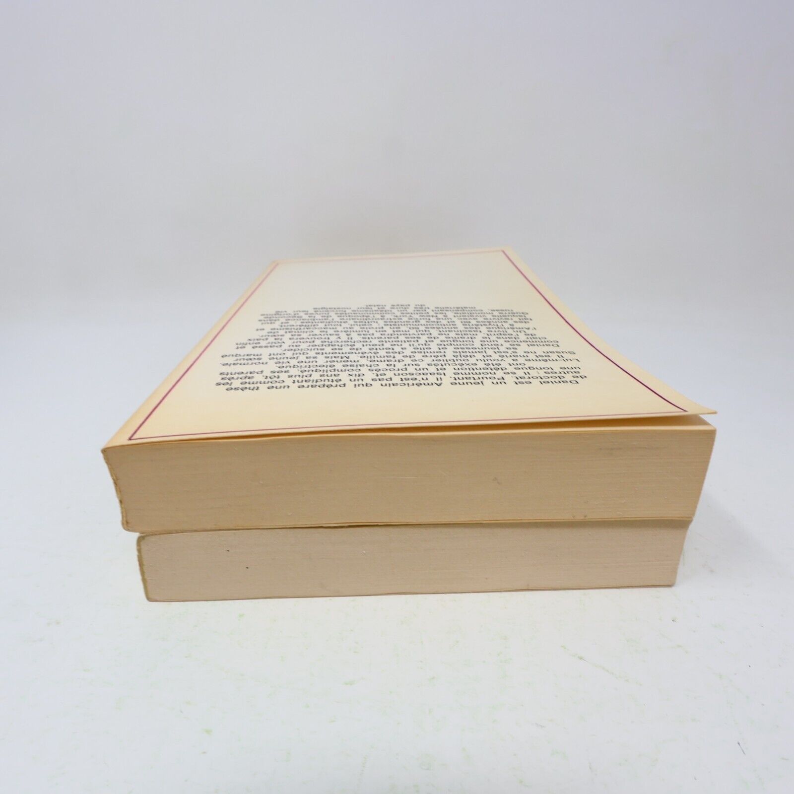 Lot 2 Edgar-Lawrence Doctorow Le Plongeon Lumme Le Livre de Daniel Français 80s