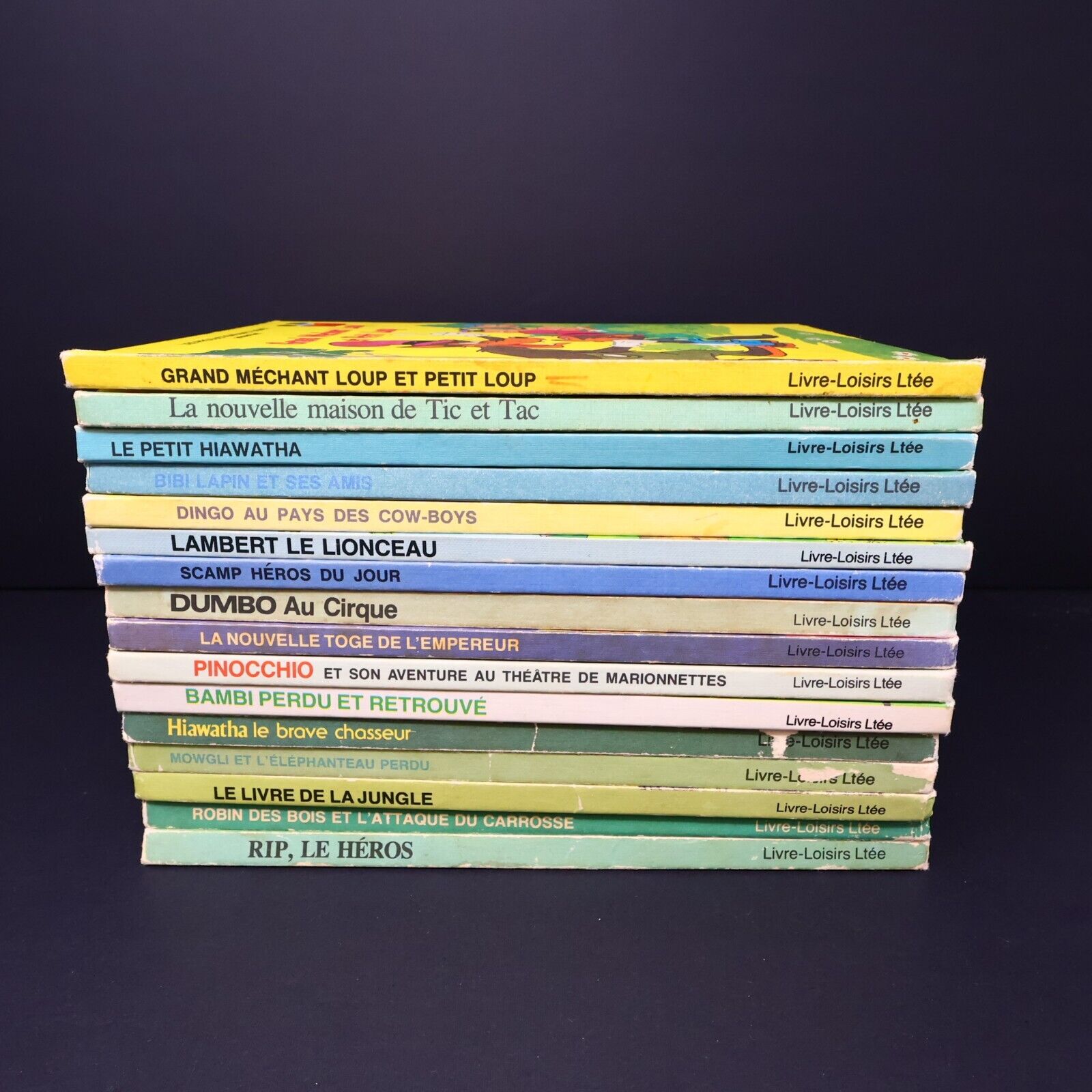 Lot 16 Livres Les Livres Merveilleux de Disney Enfants Livre Loisirs Français HC