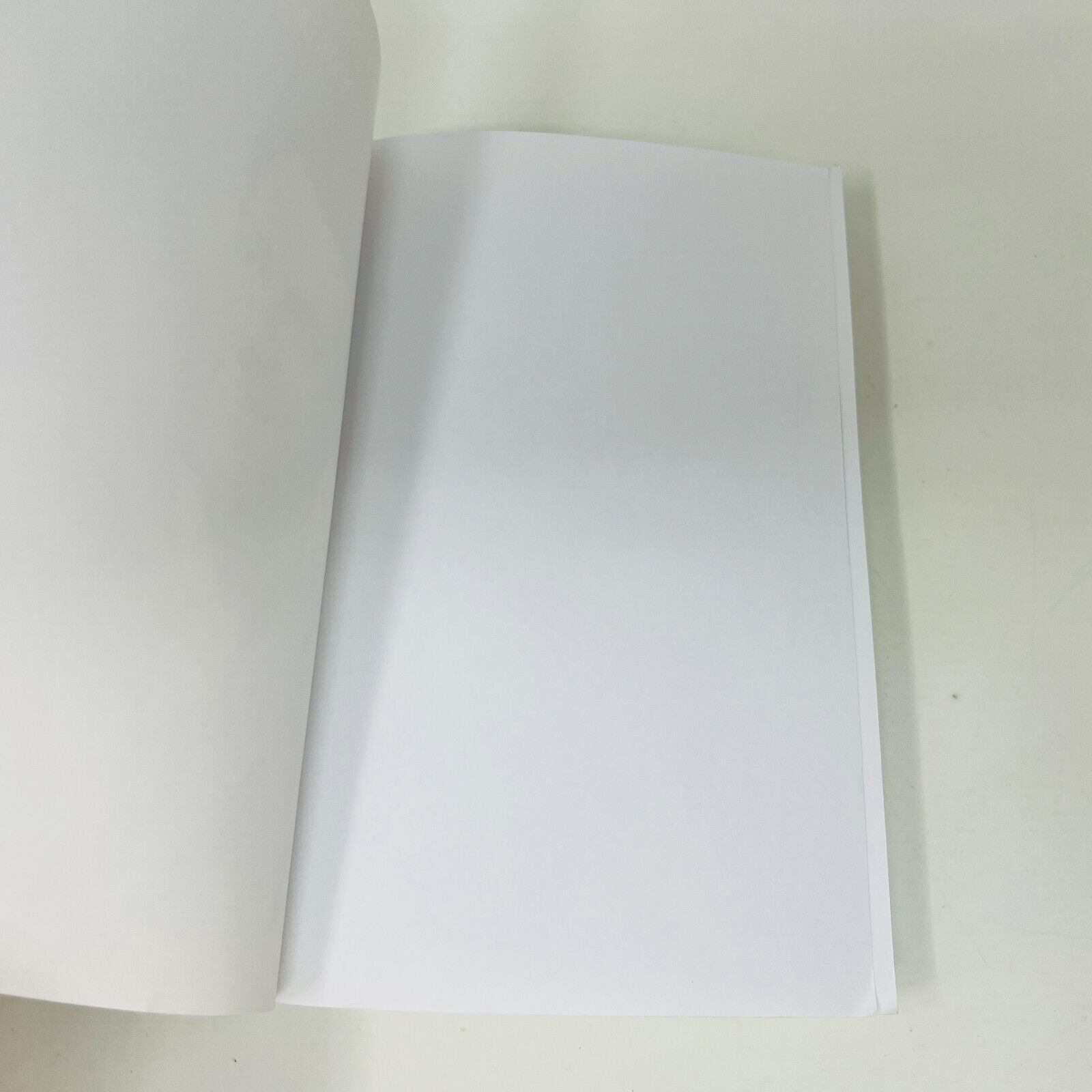 2014 Ma Vie en Dents de Scie Biographie de Père Pierre Senécal Clermont Éditeur