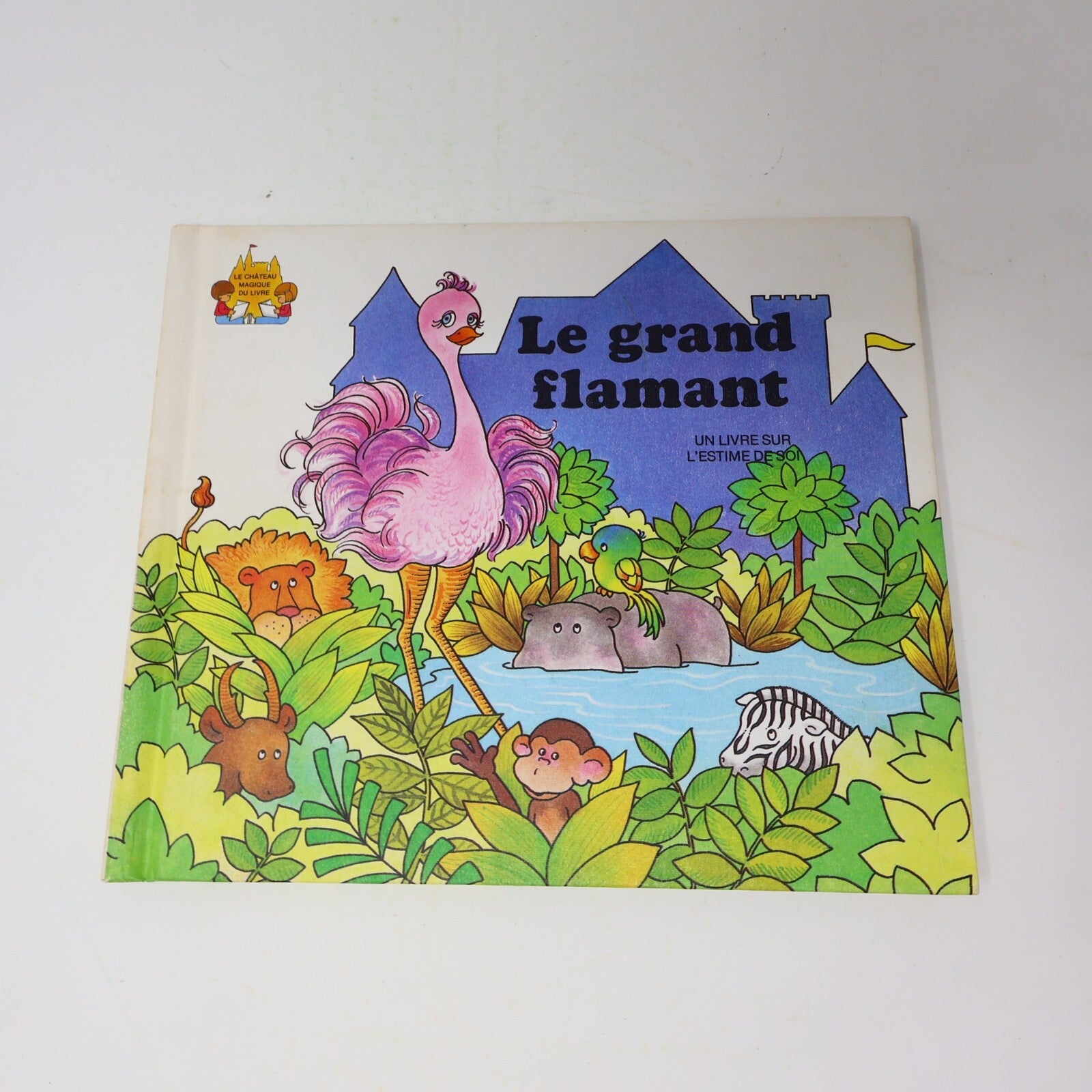 Lot 14 Le Château Magique du Livre Jane Belk Moncure Livres Enfants Français 80s